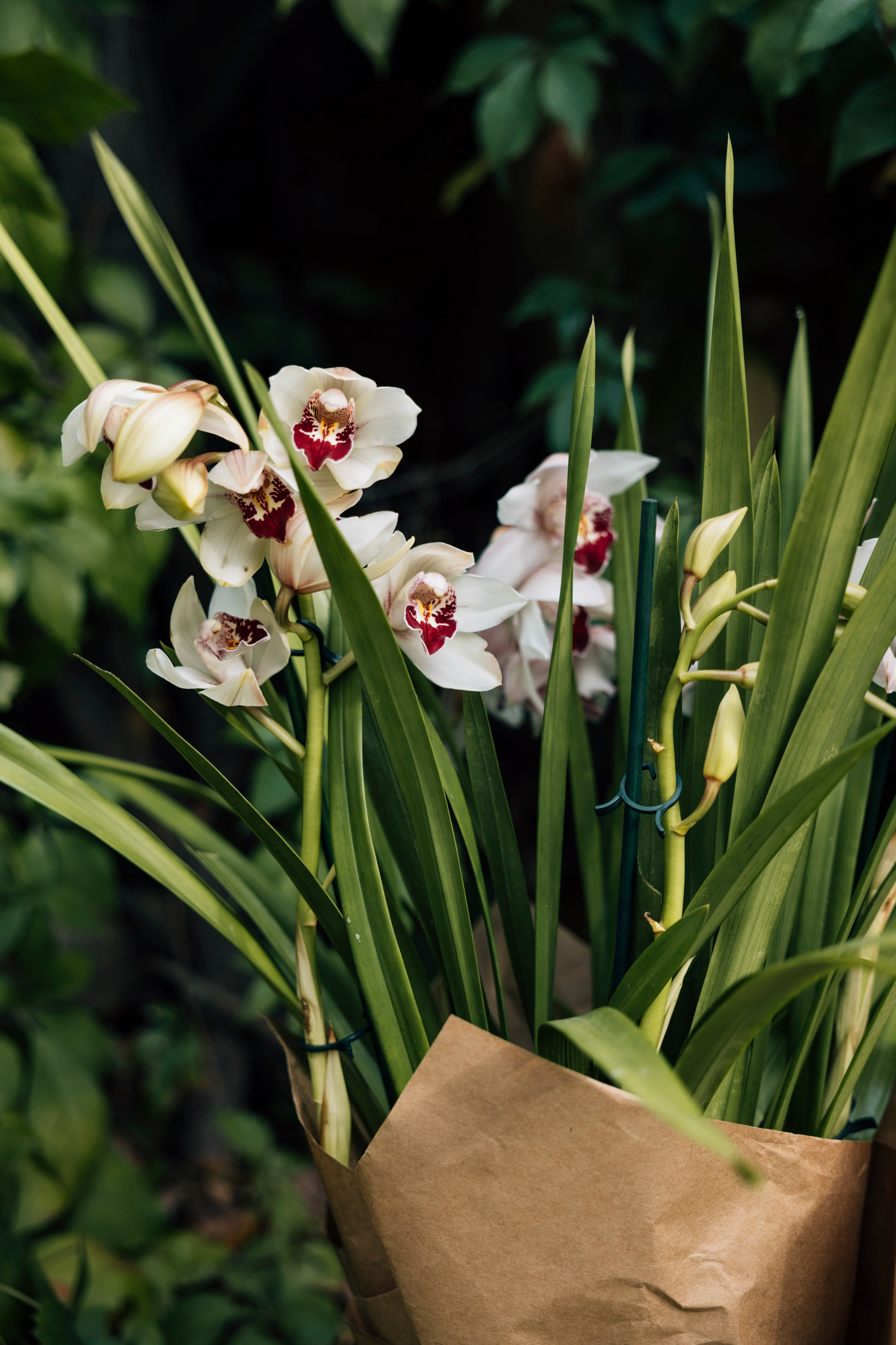 Orchid Blossom Handbag