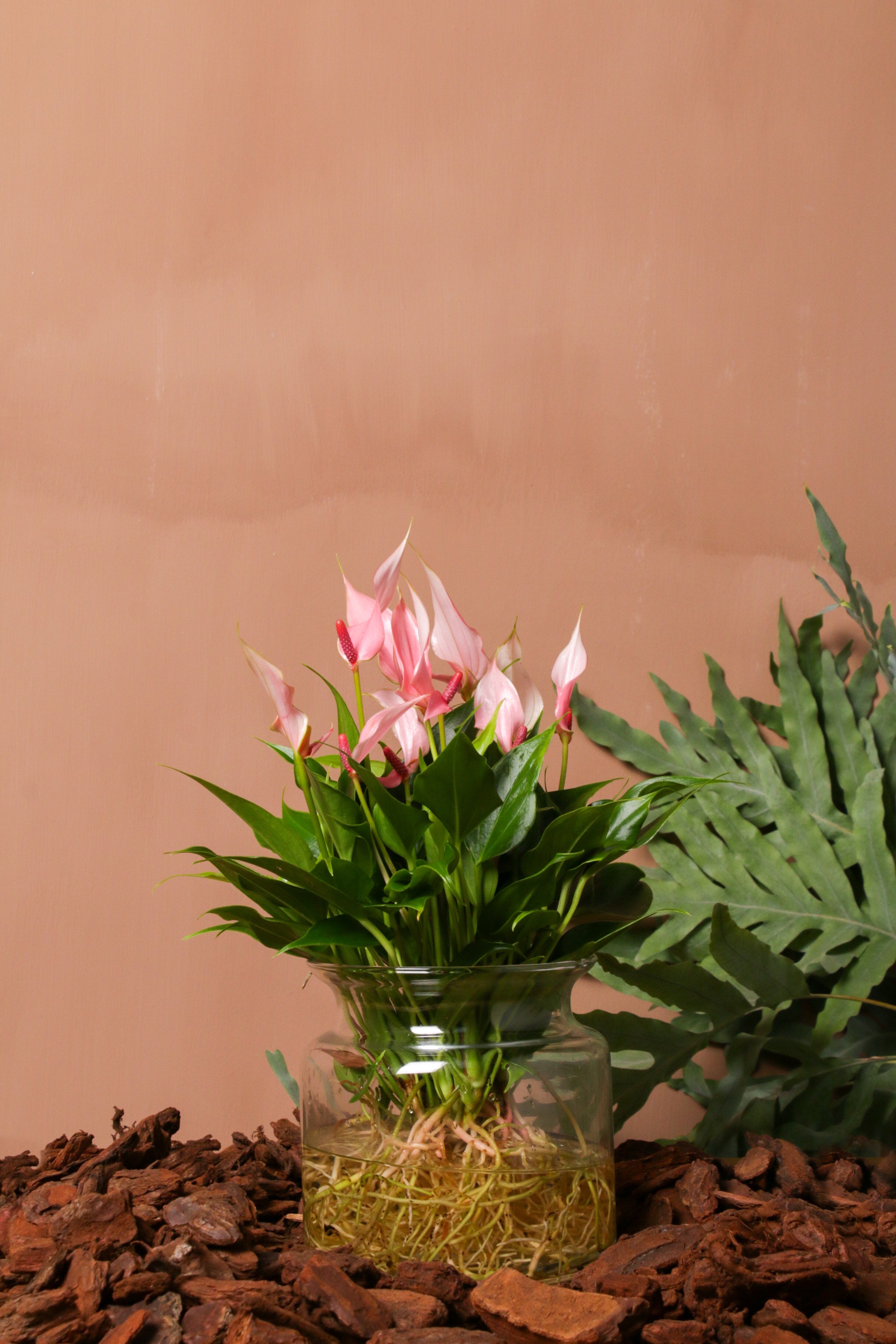 Tofu in Vase