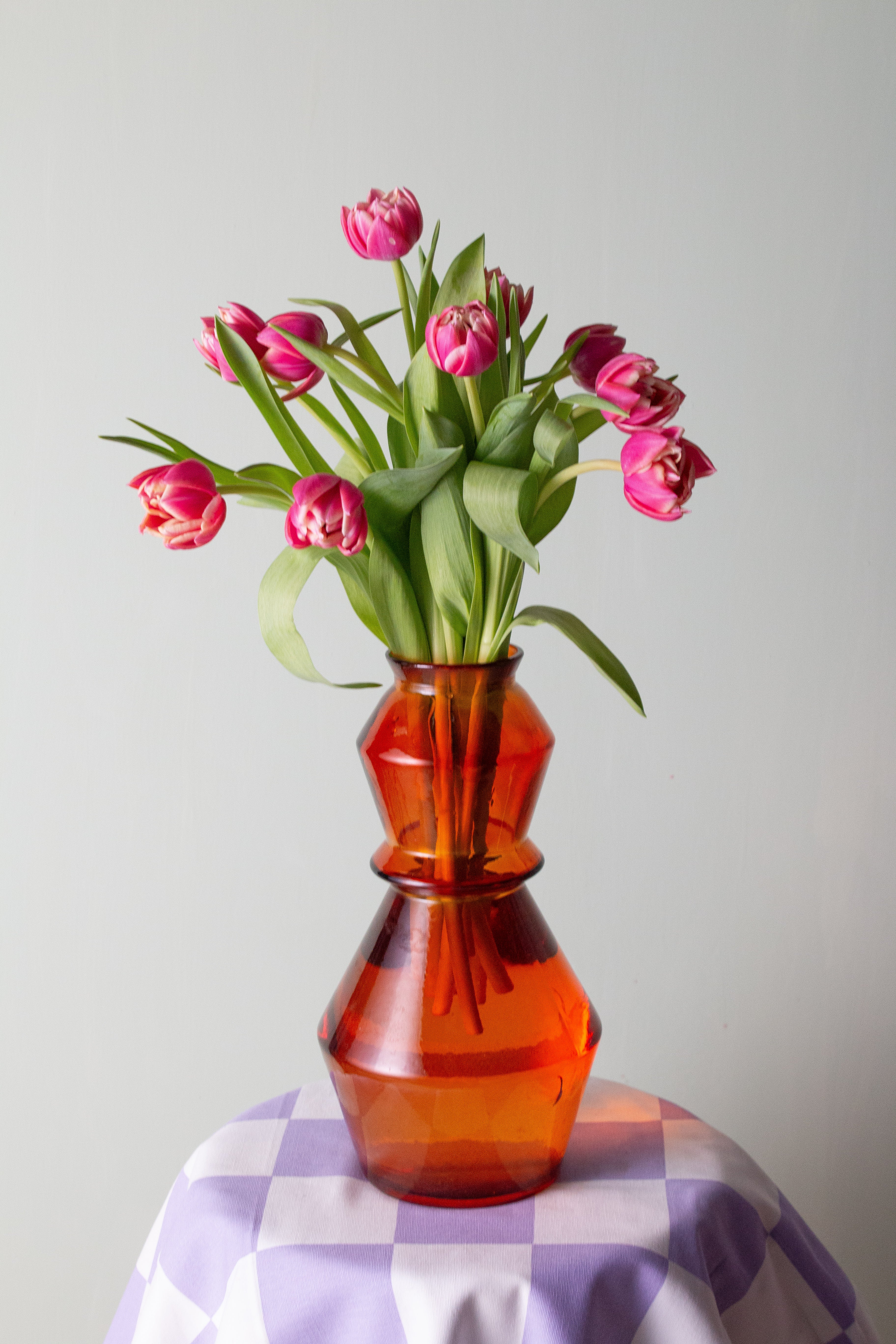 Pink Tulipa Vazolu