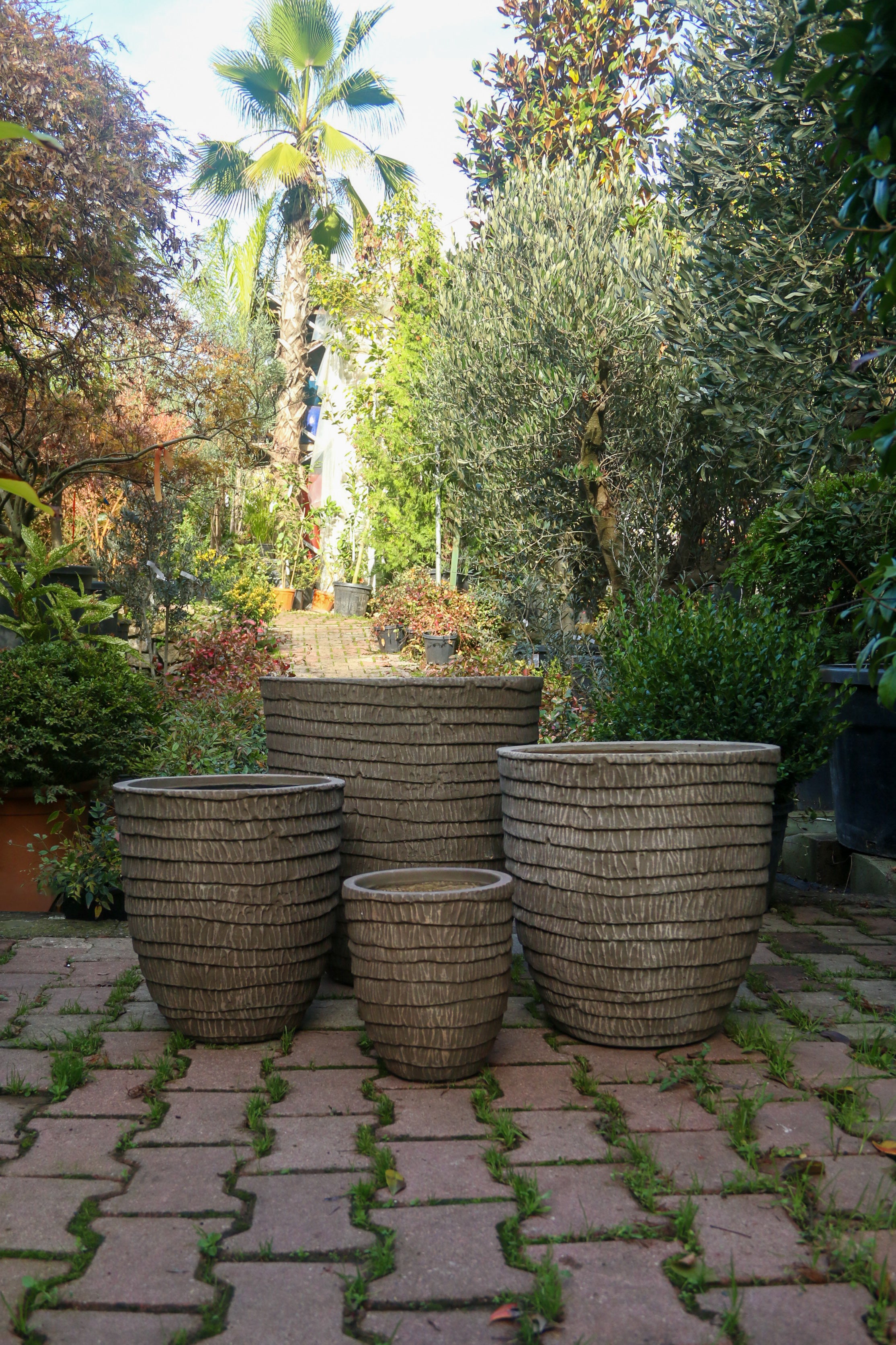 Wuxi Fiberstone Saksı Kahve