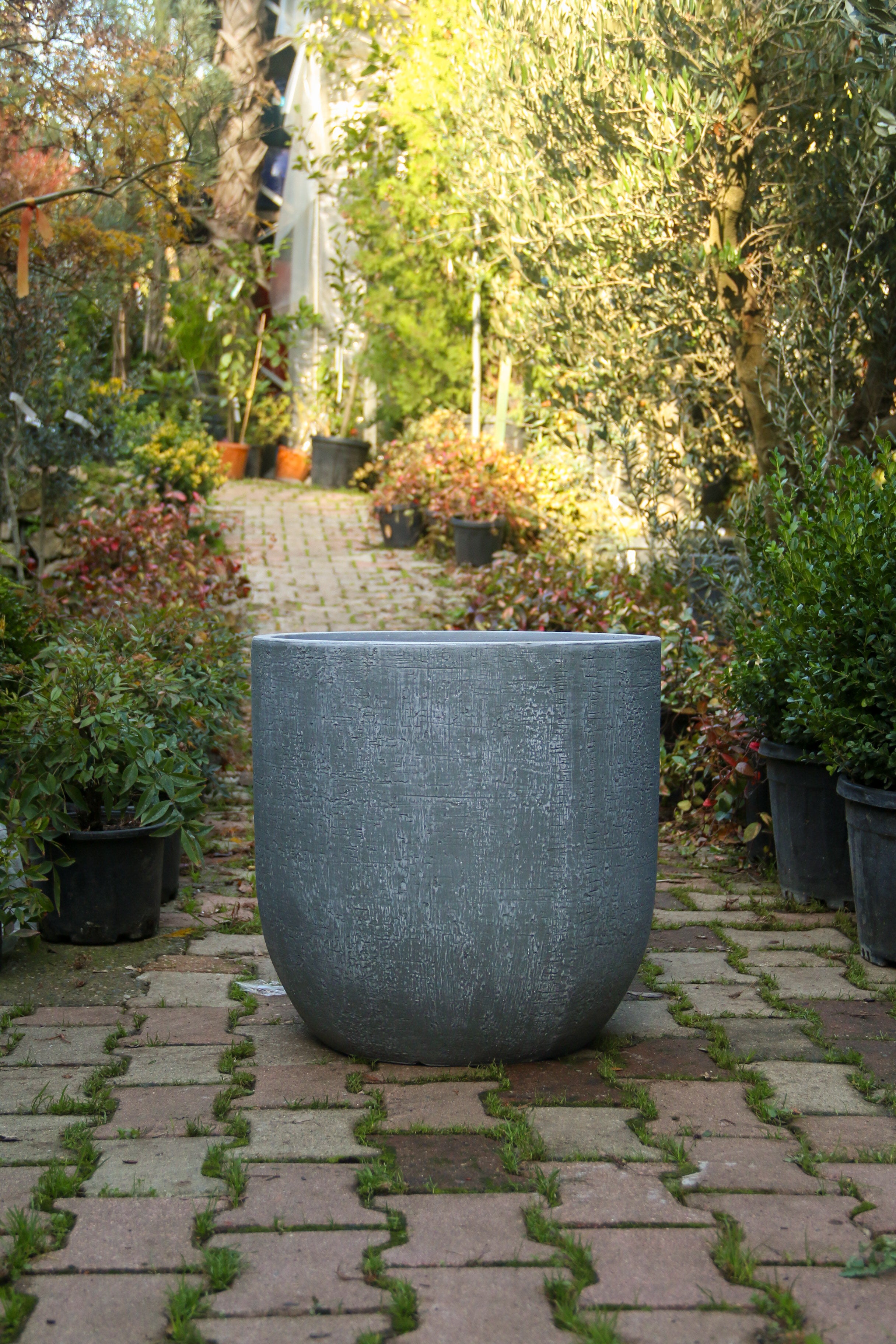 Colorado Fiberstone Saksı