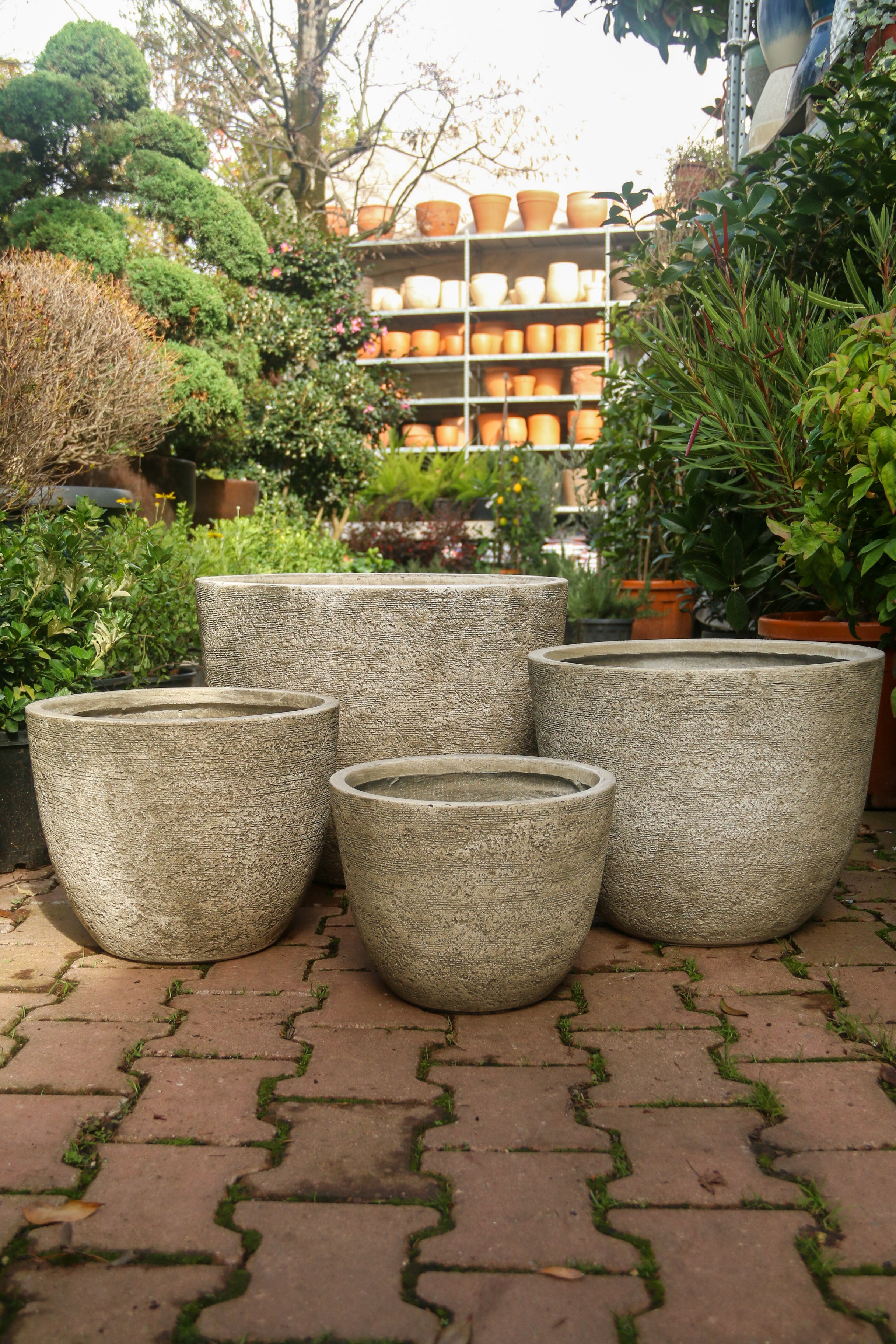 Darwin Fiberstone Saksı Bej