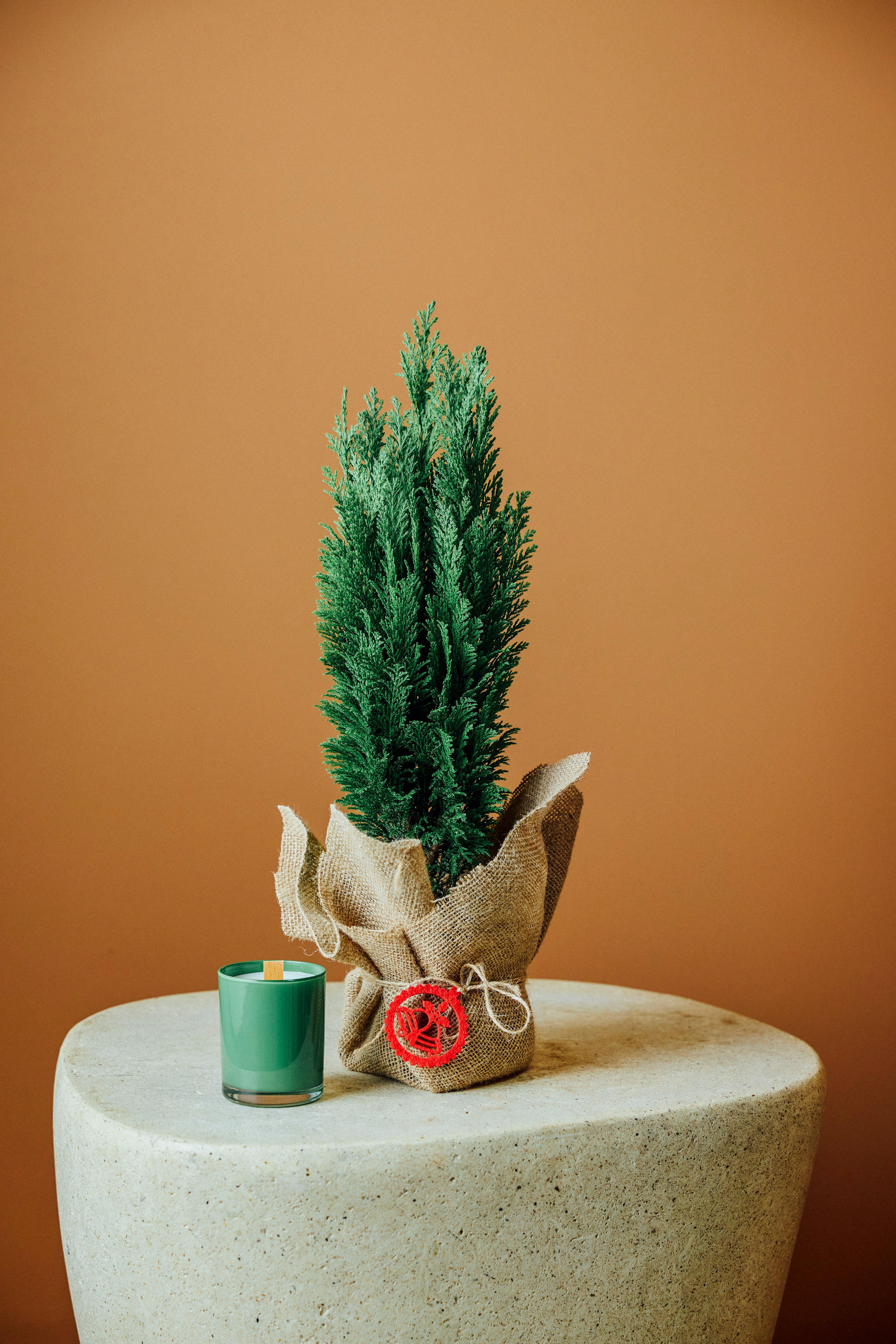 Merry (Yılbaşı çamı ve mum)