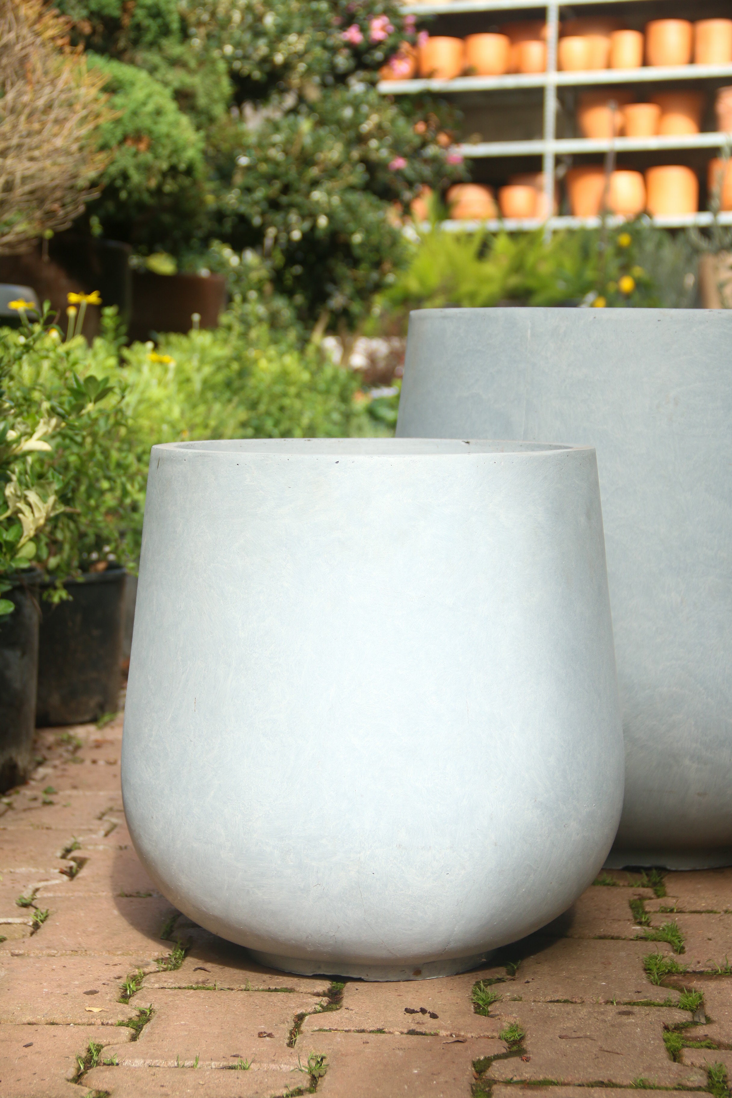 Liverpool Fiberstone Saksı Pax