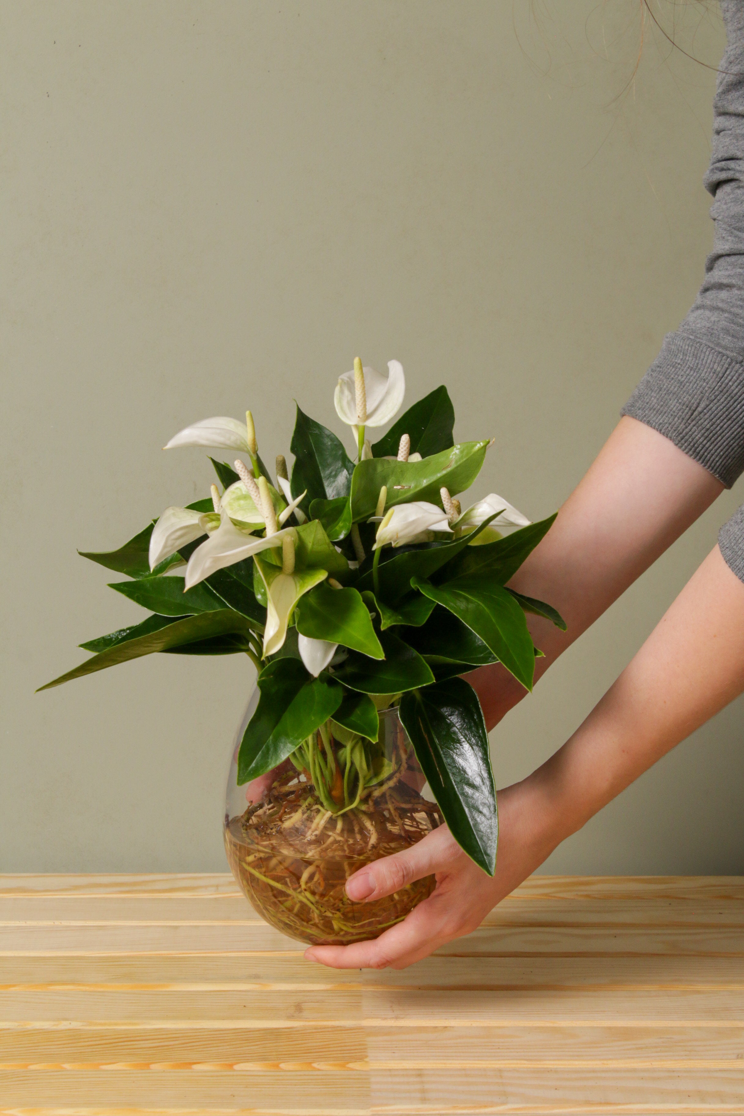 White Flamingo in Vase