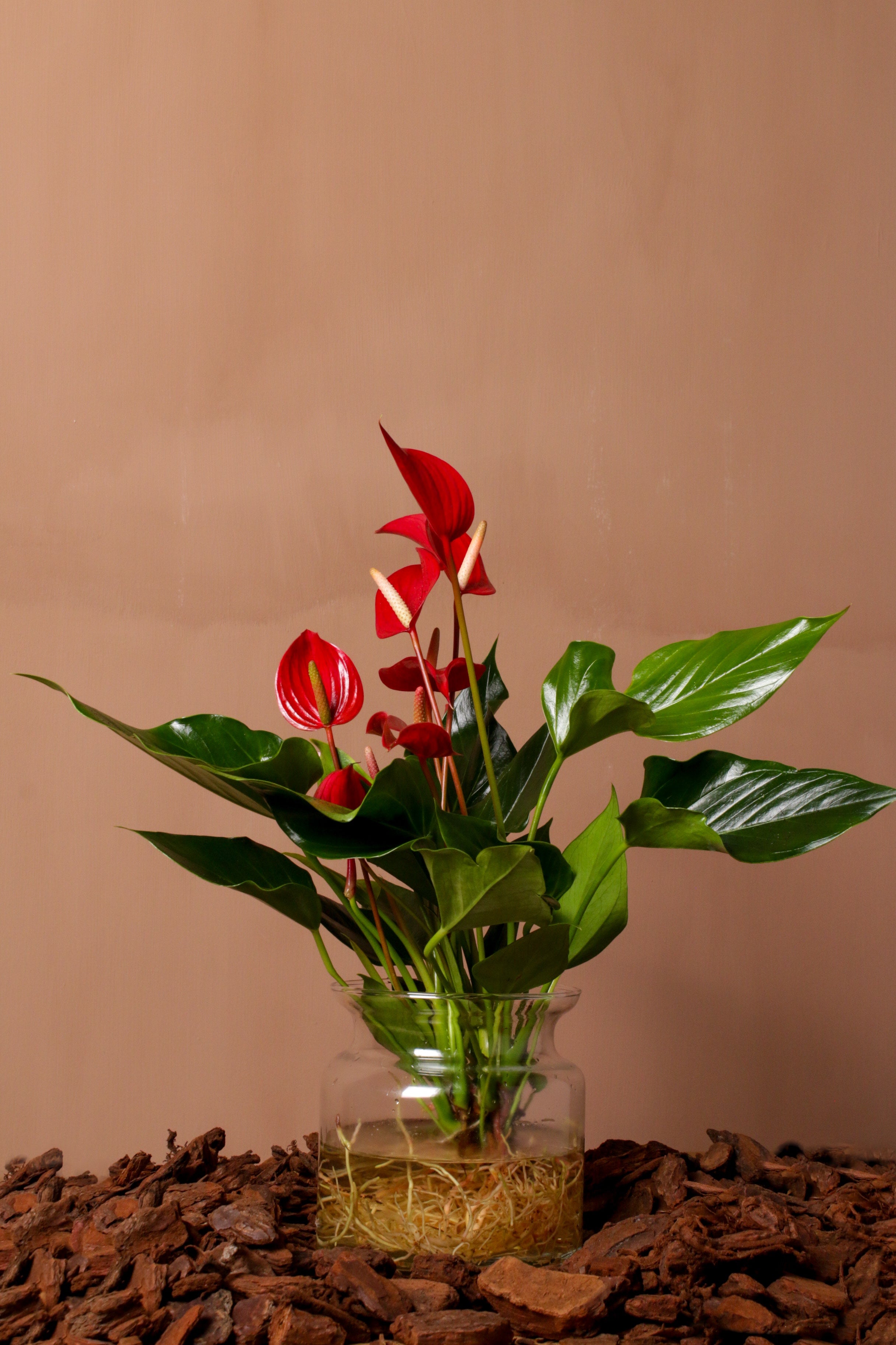 Flamingo in Vase