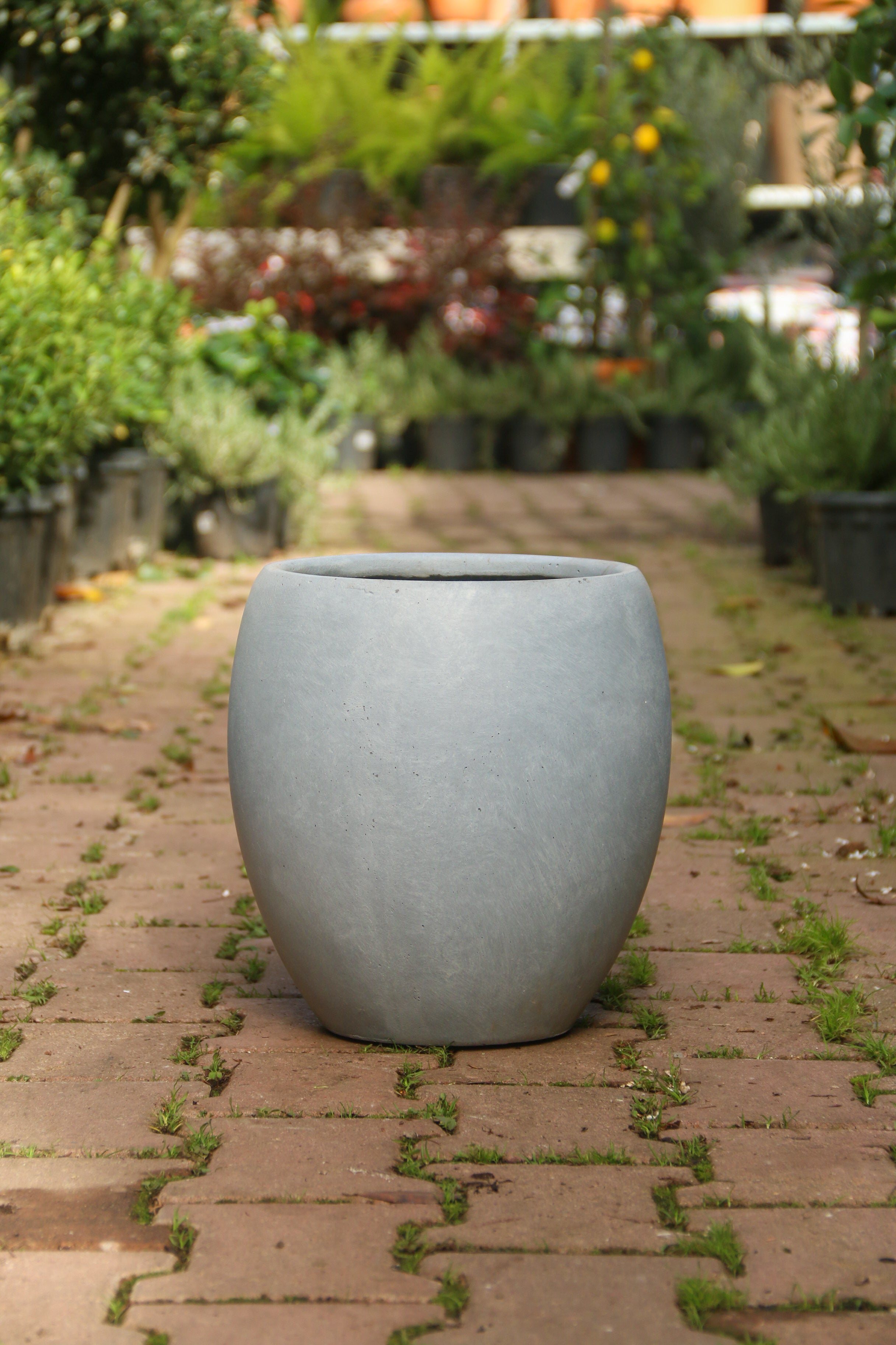 Liverpool Fiberstone Saksı Bond