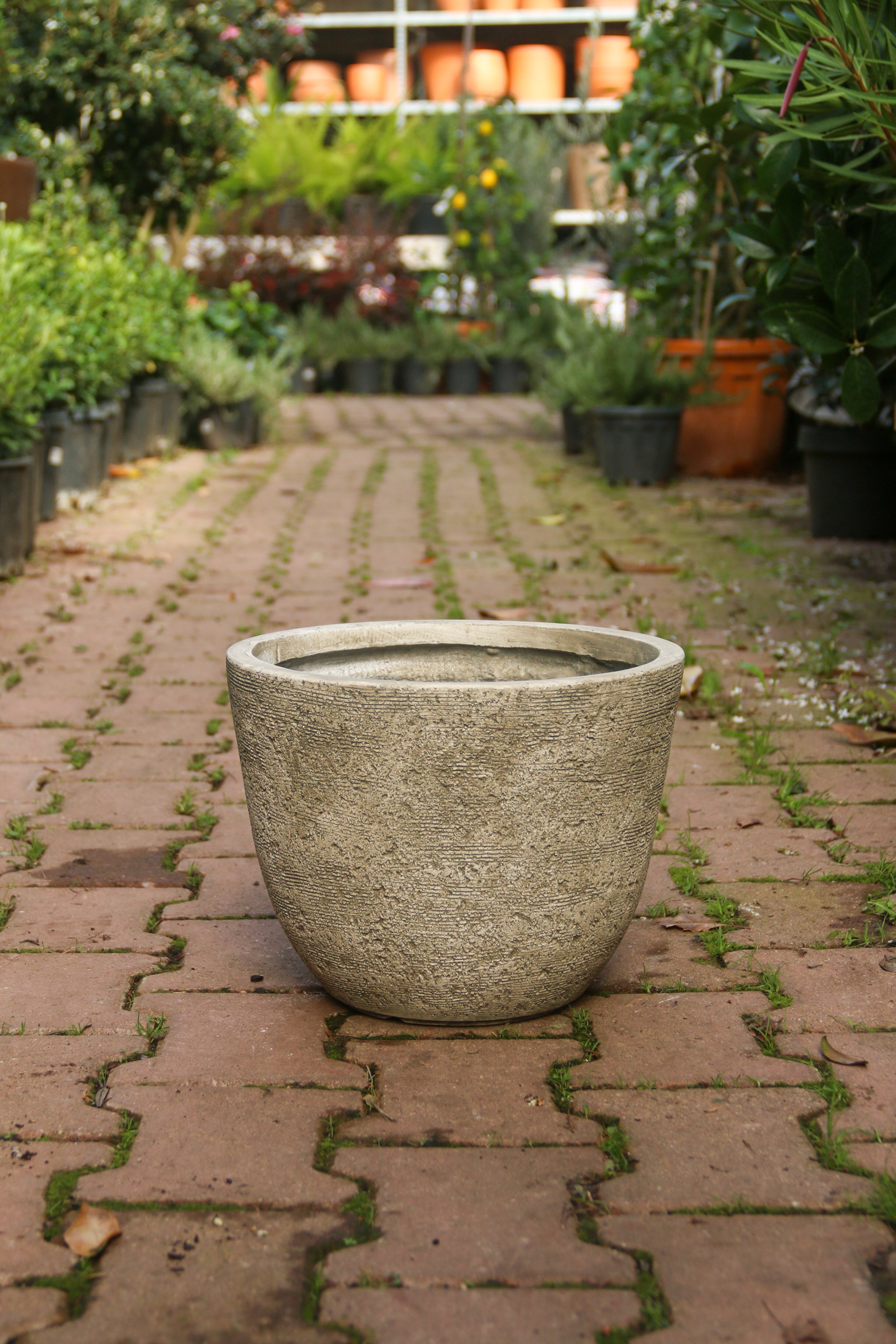 Darwin Fiberstone Saksı Bej