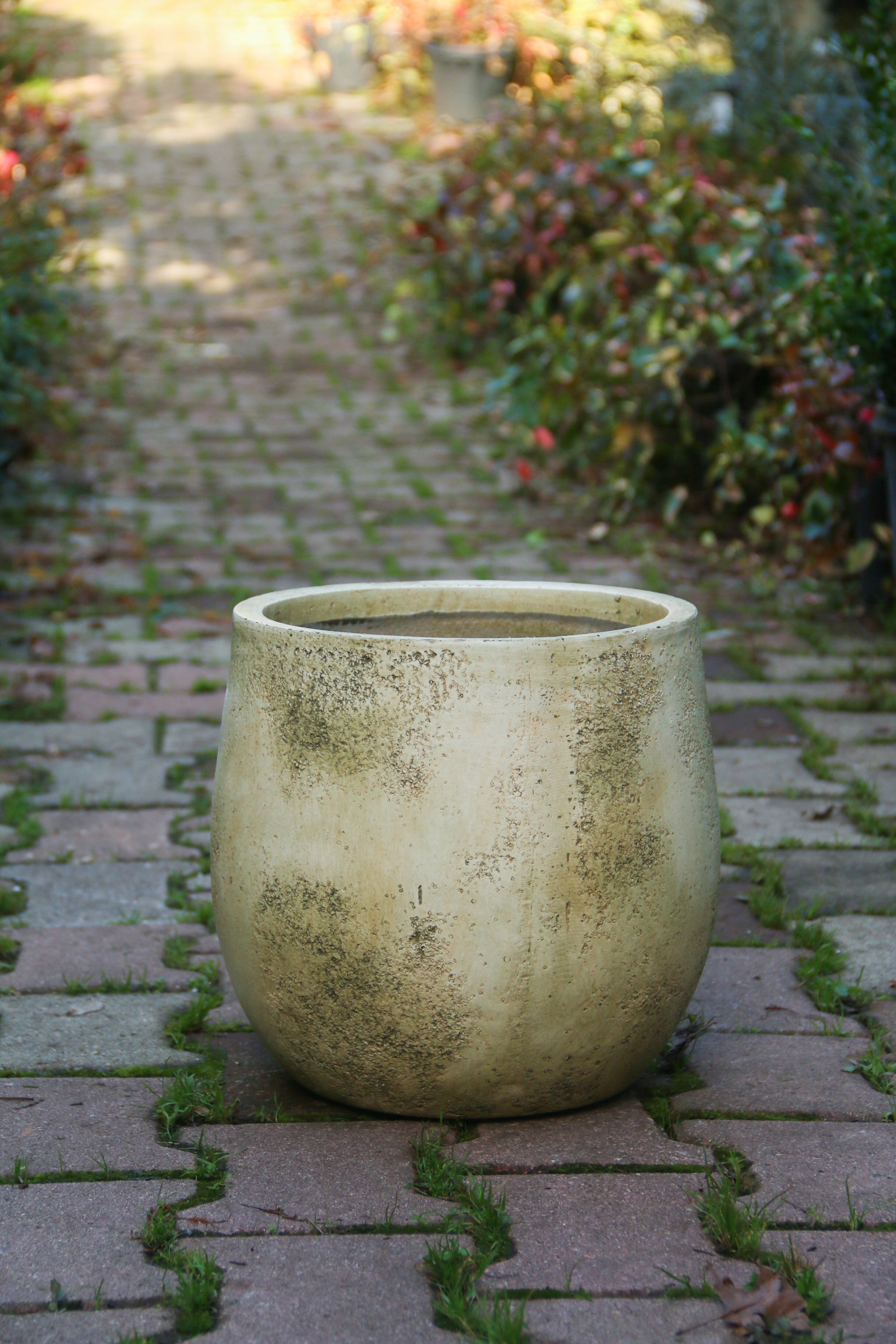 Dallas Fiberstone Saksı