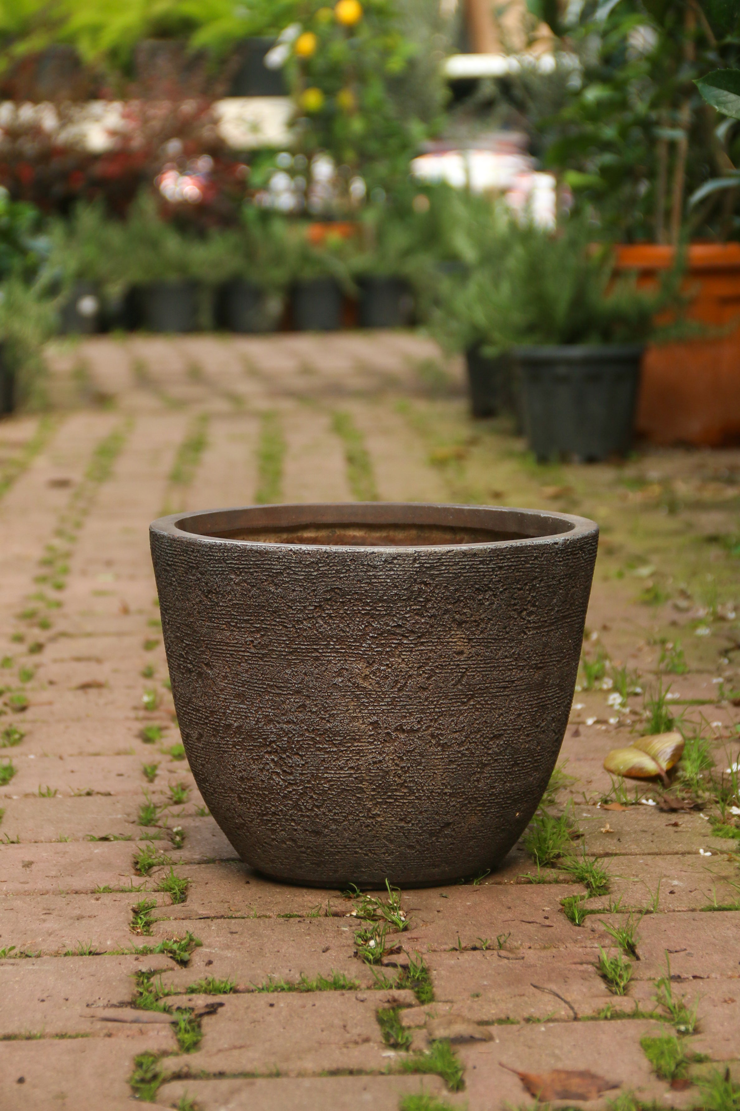 Darwin Fiberstone Saksı Kahve