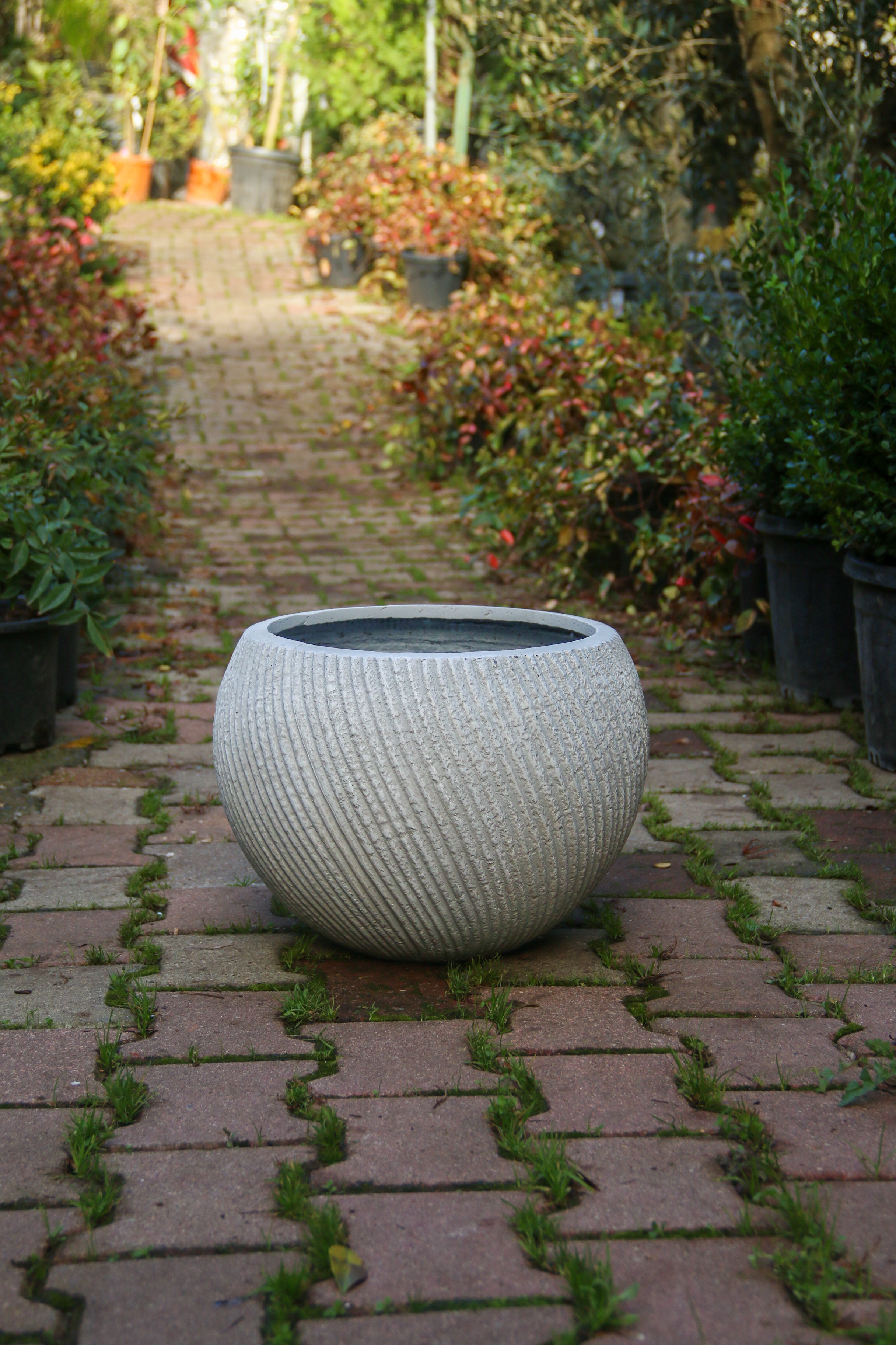 Newcastle Fiberstone Saksı Yayvan