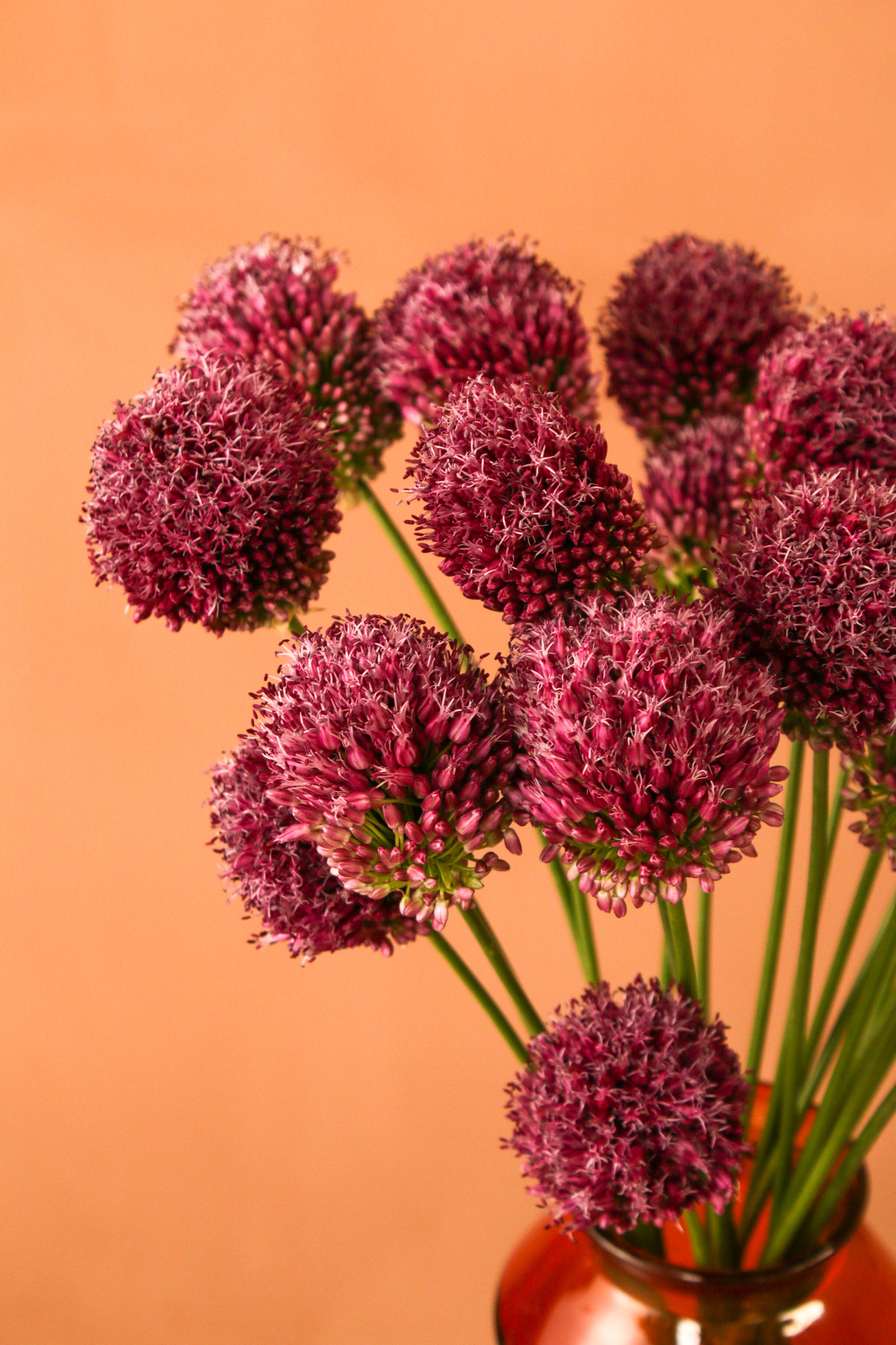 Allium Vase