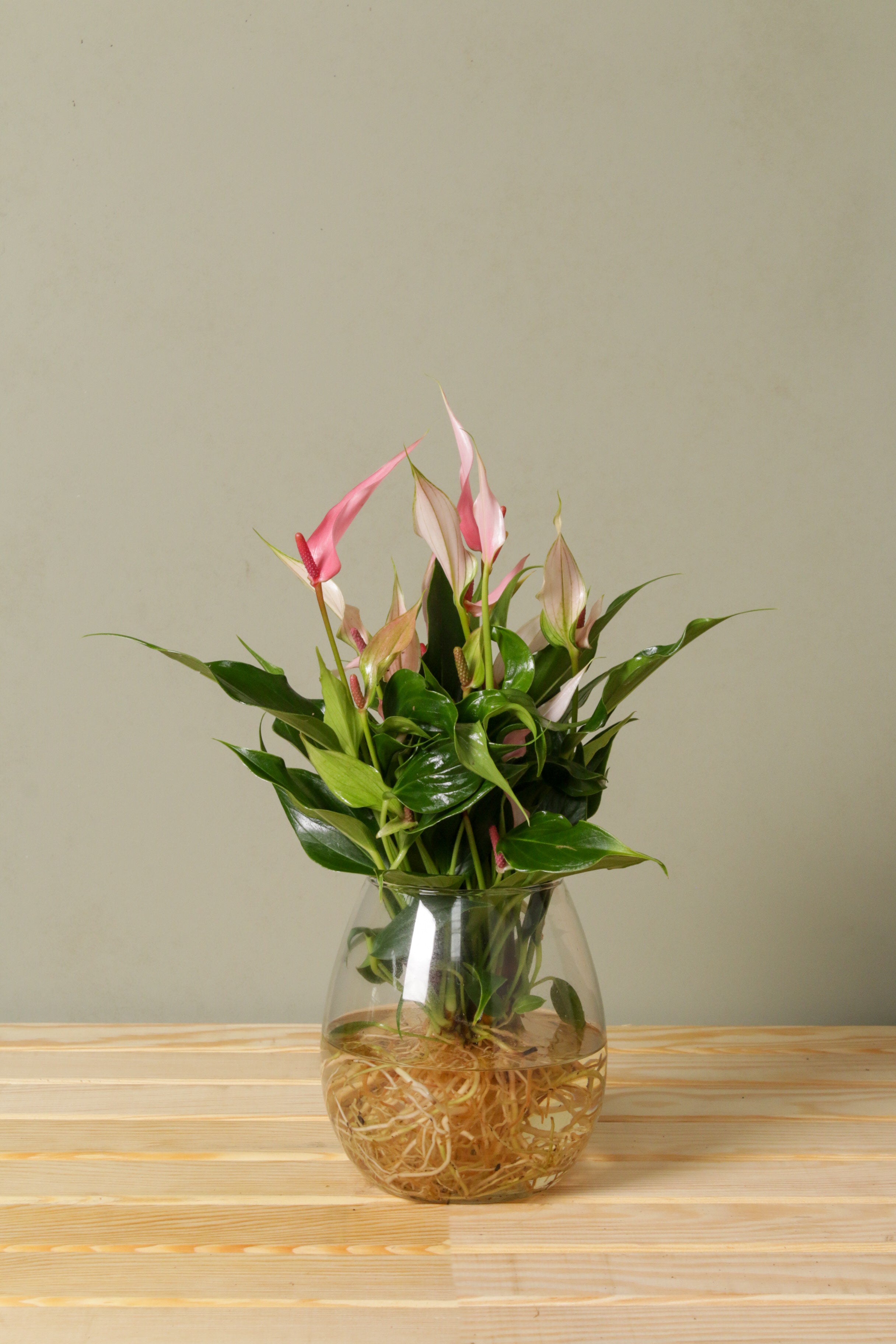 Tofu in Vase