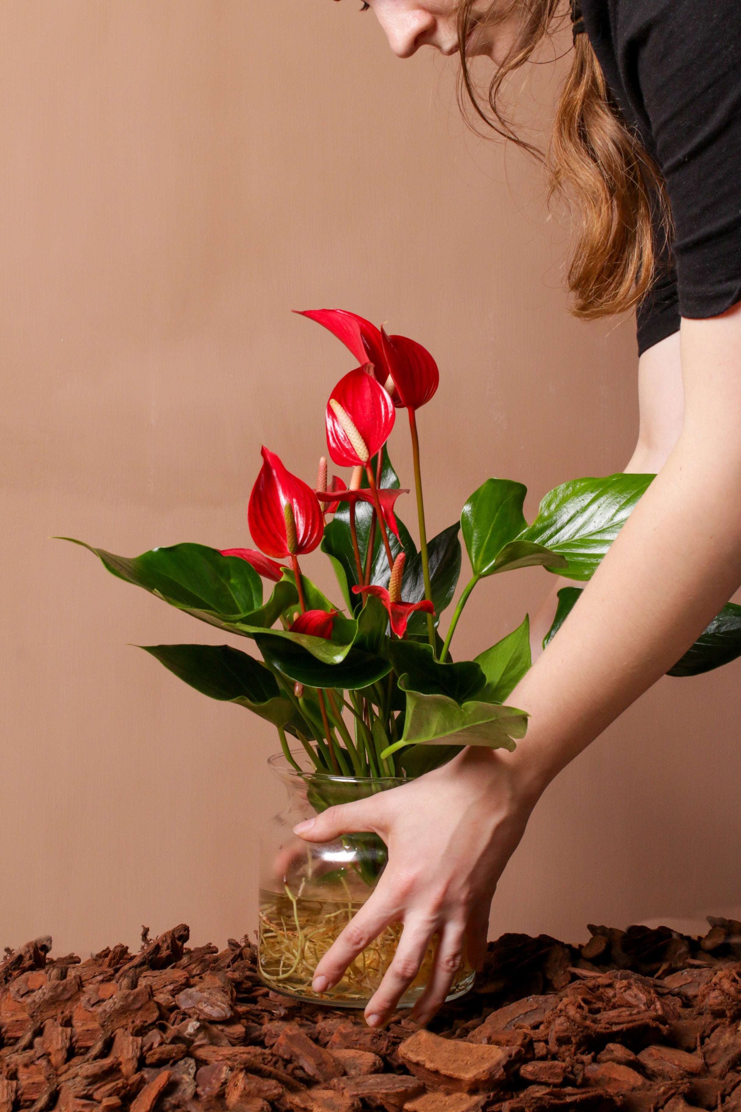 Flamingo in Vase