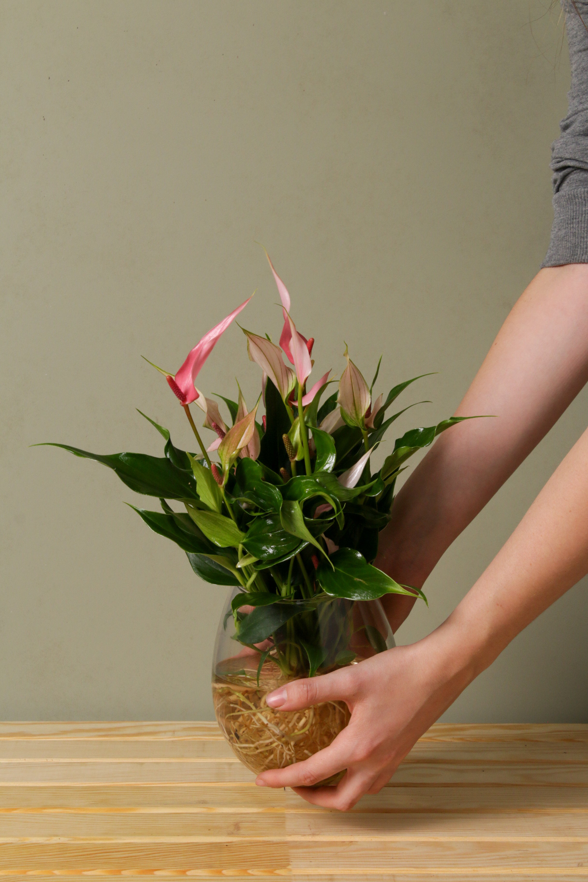 Tofu in Vase