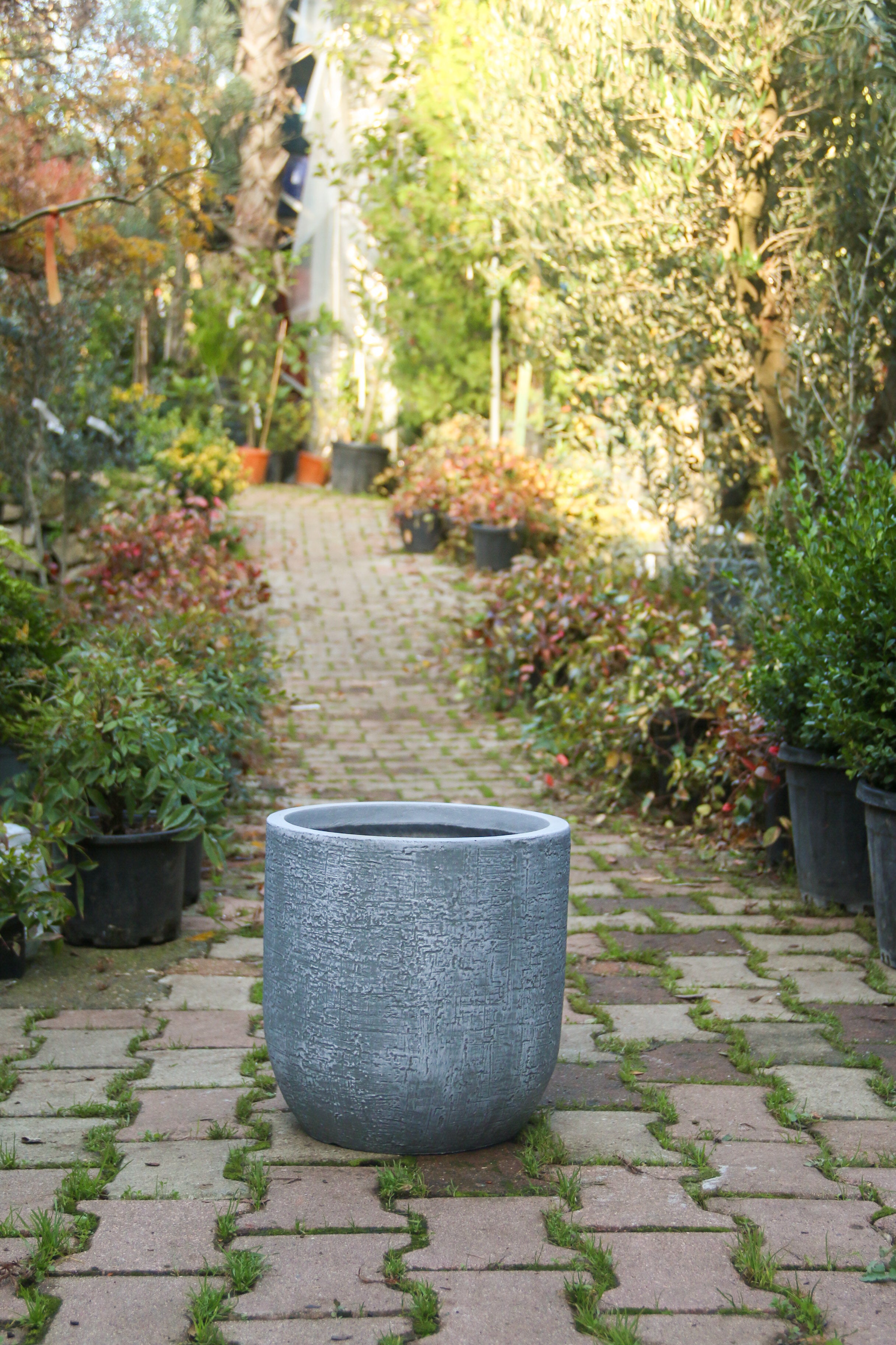 Colorado Fiberstone Saksı