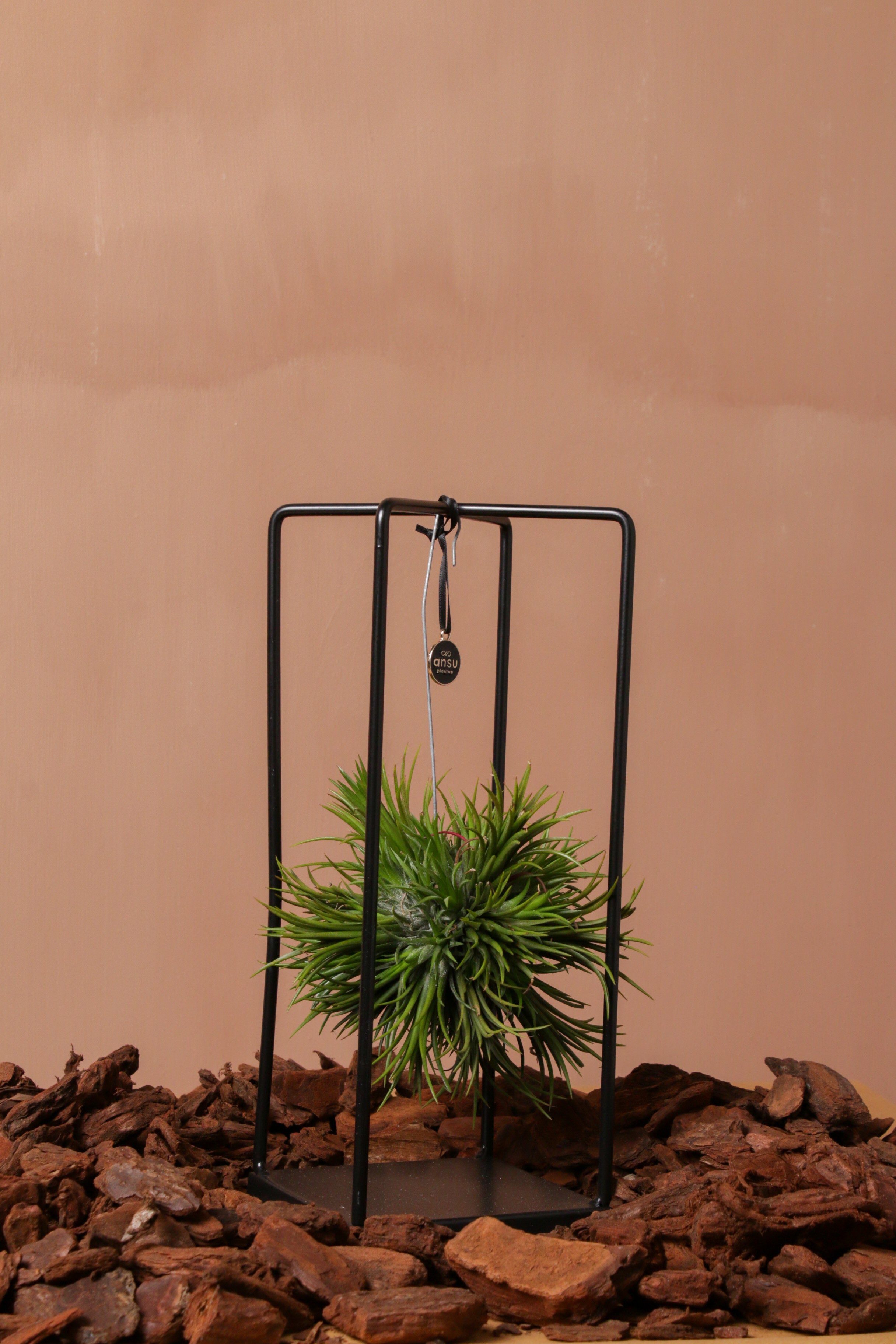 Quadro