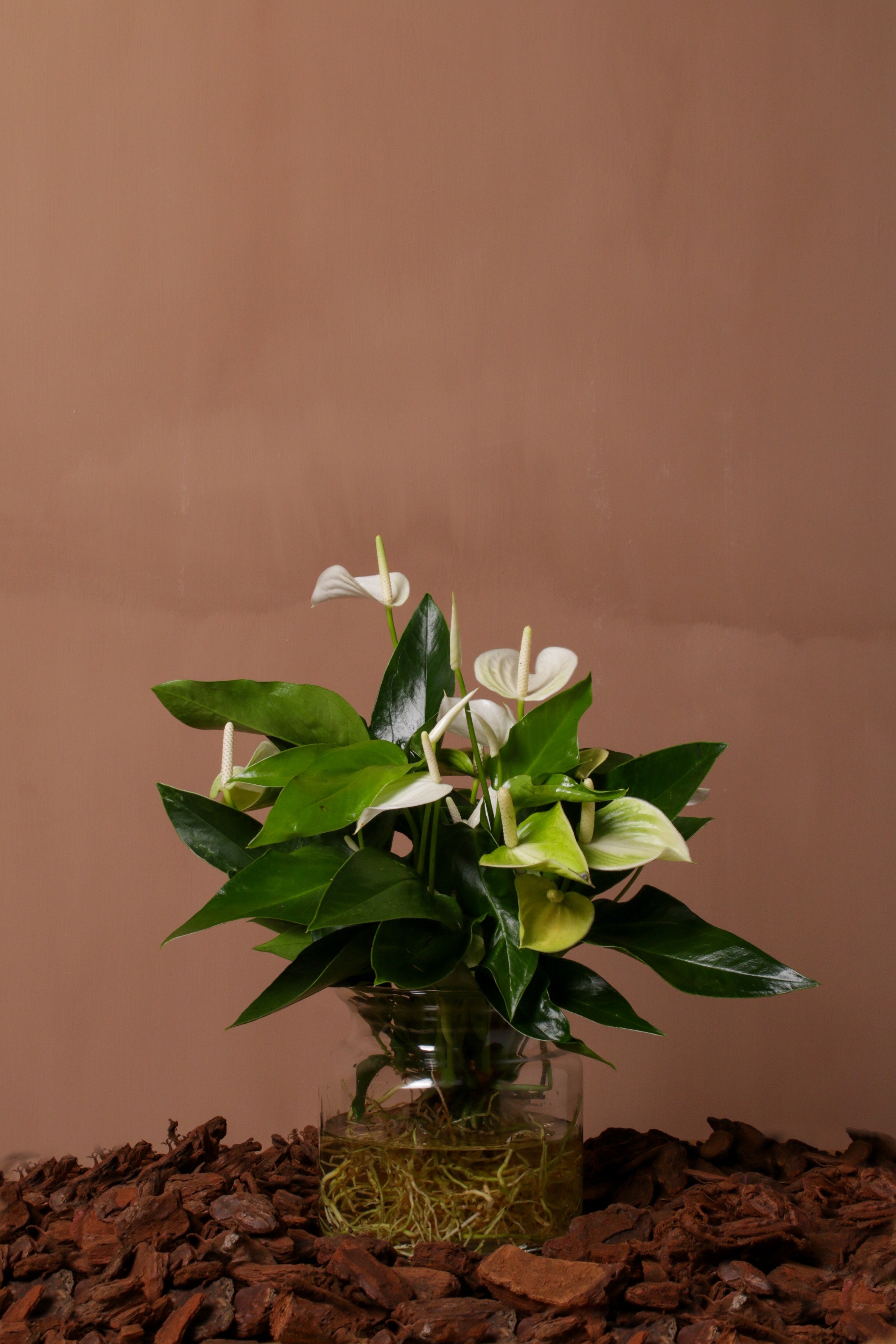 White Flamingo in Vase