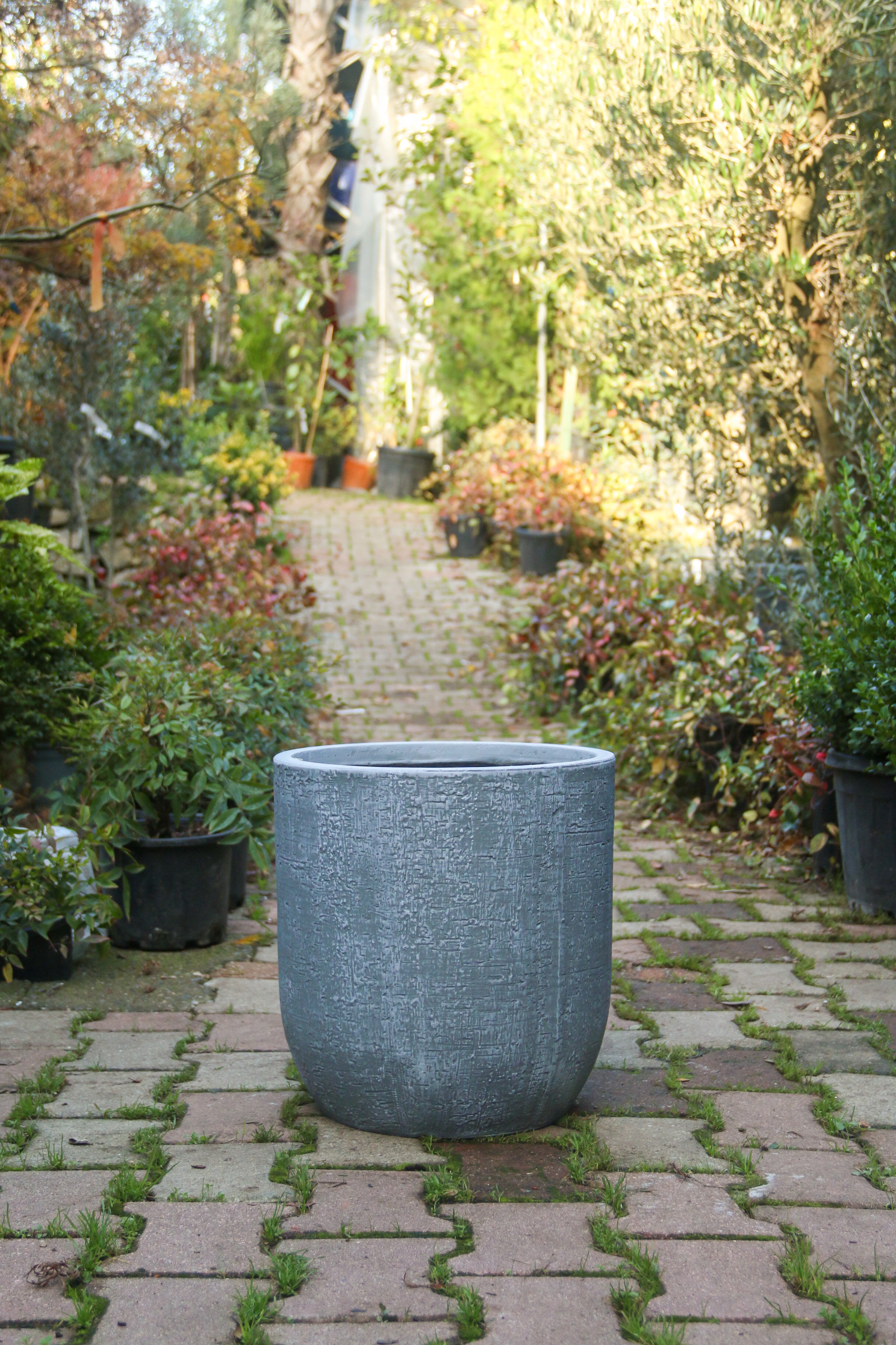 Colorado Fiberstone Saksı