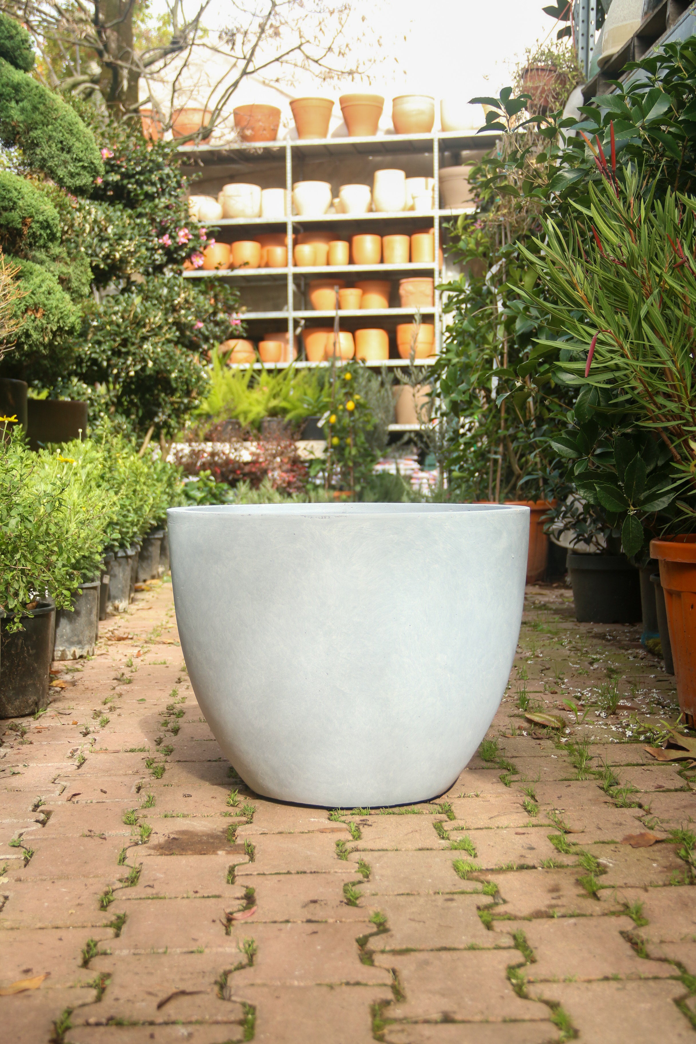 Liverpool Fiberstone Saksı Jesselyn