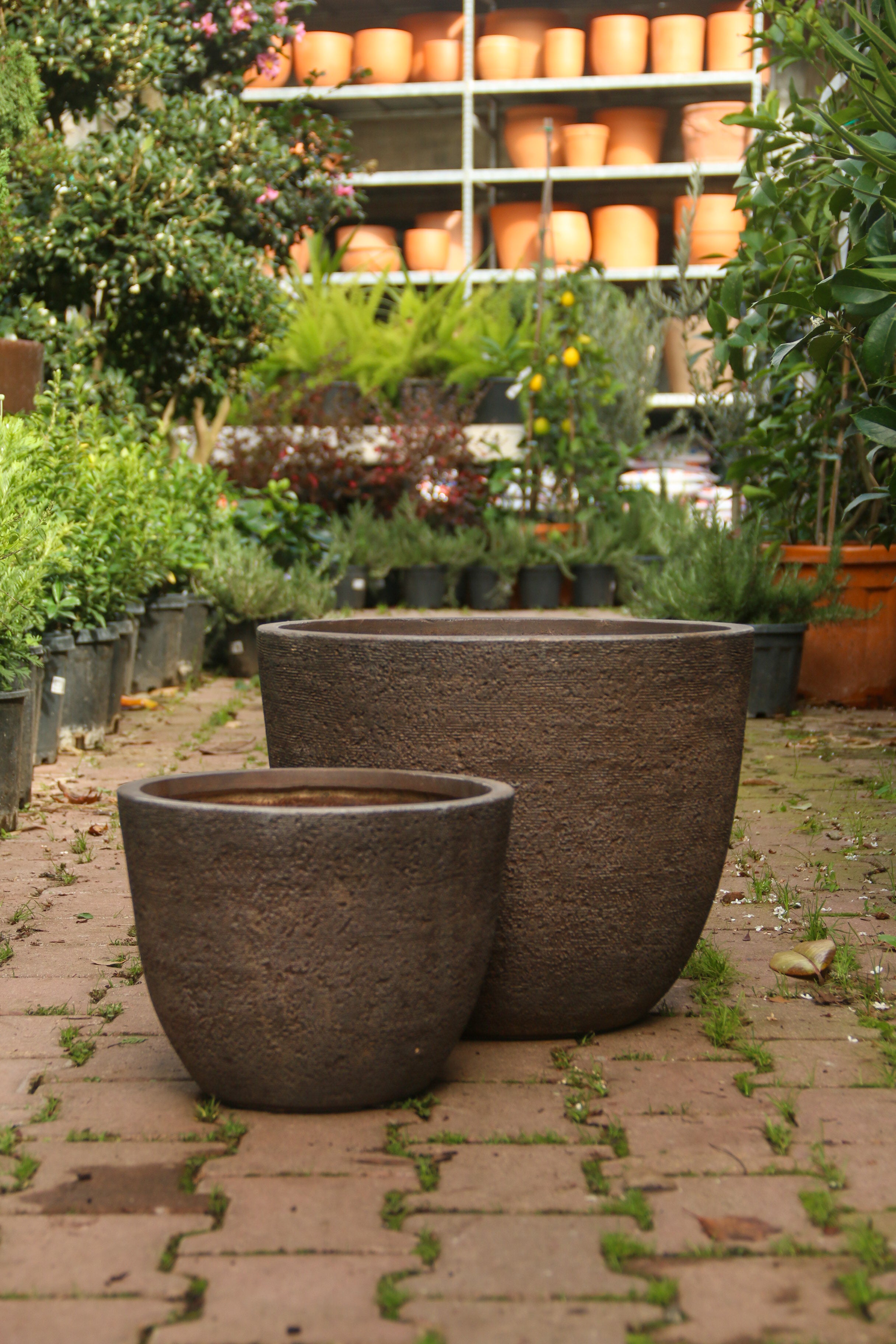 Darwin Fiberstone Saksı Kahve