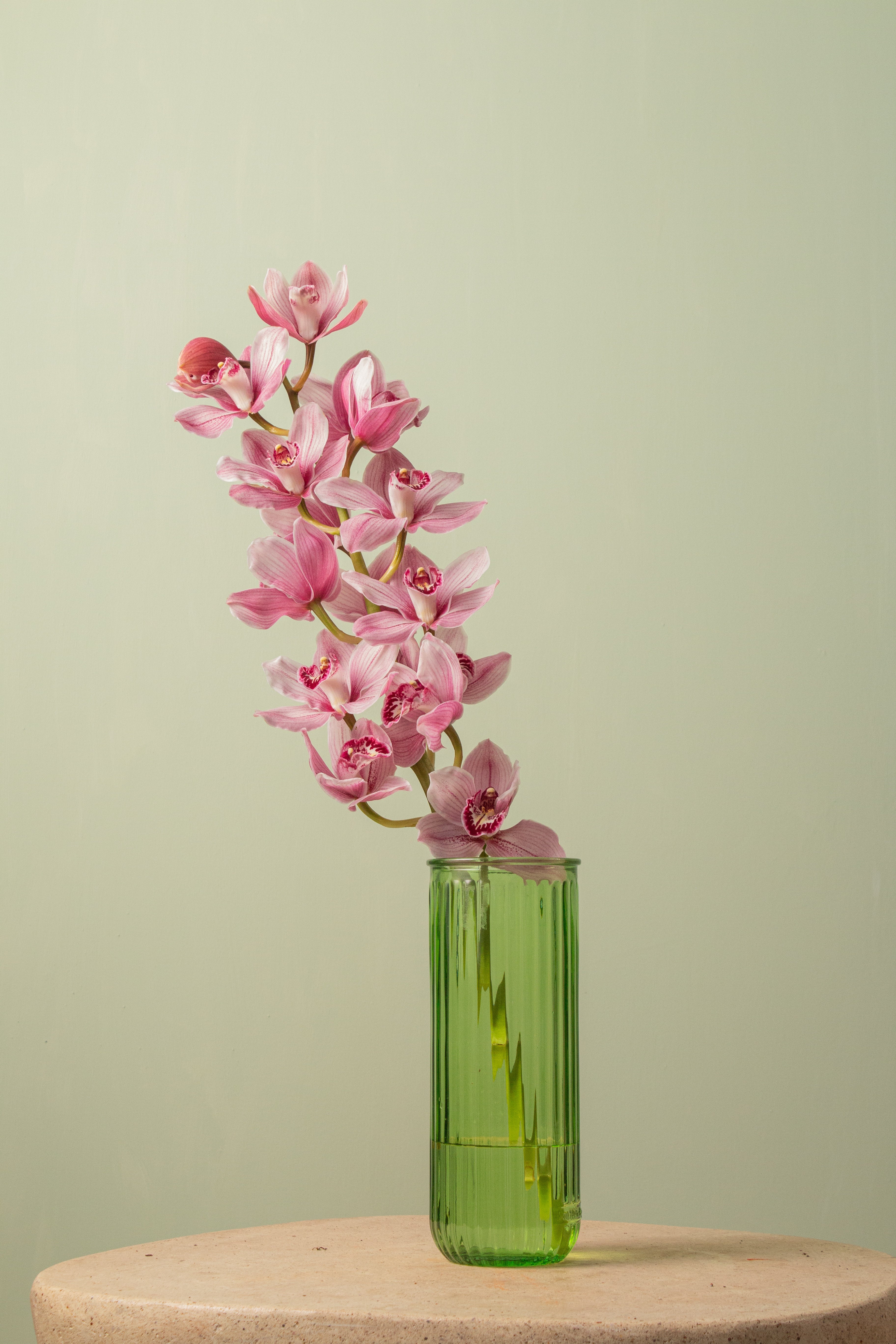 Calla