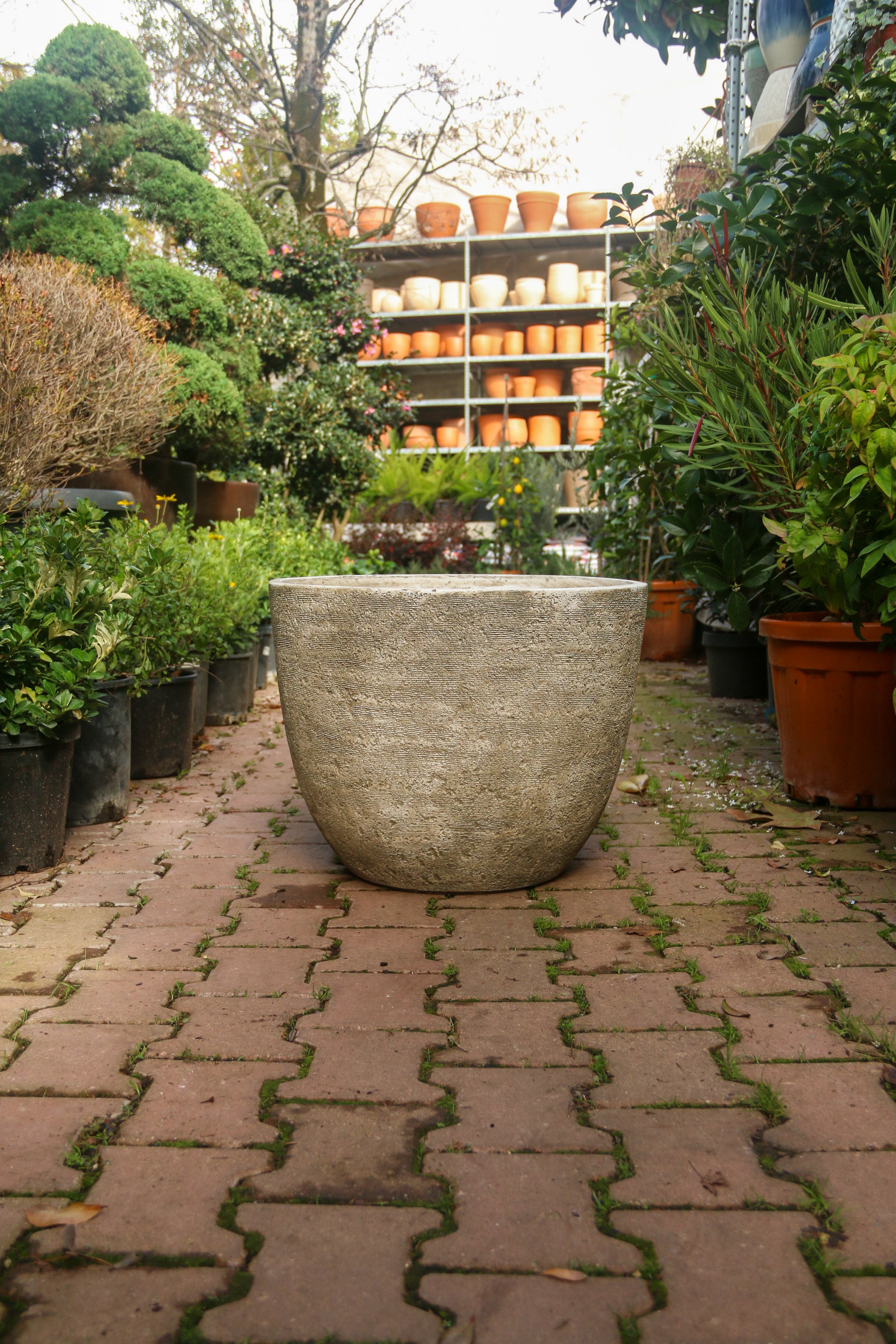 Darwin Fiberstone Saksı Bej