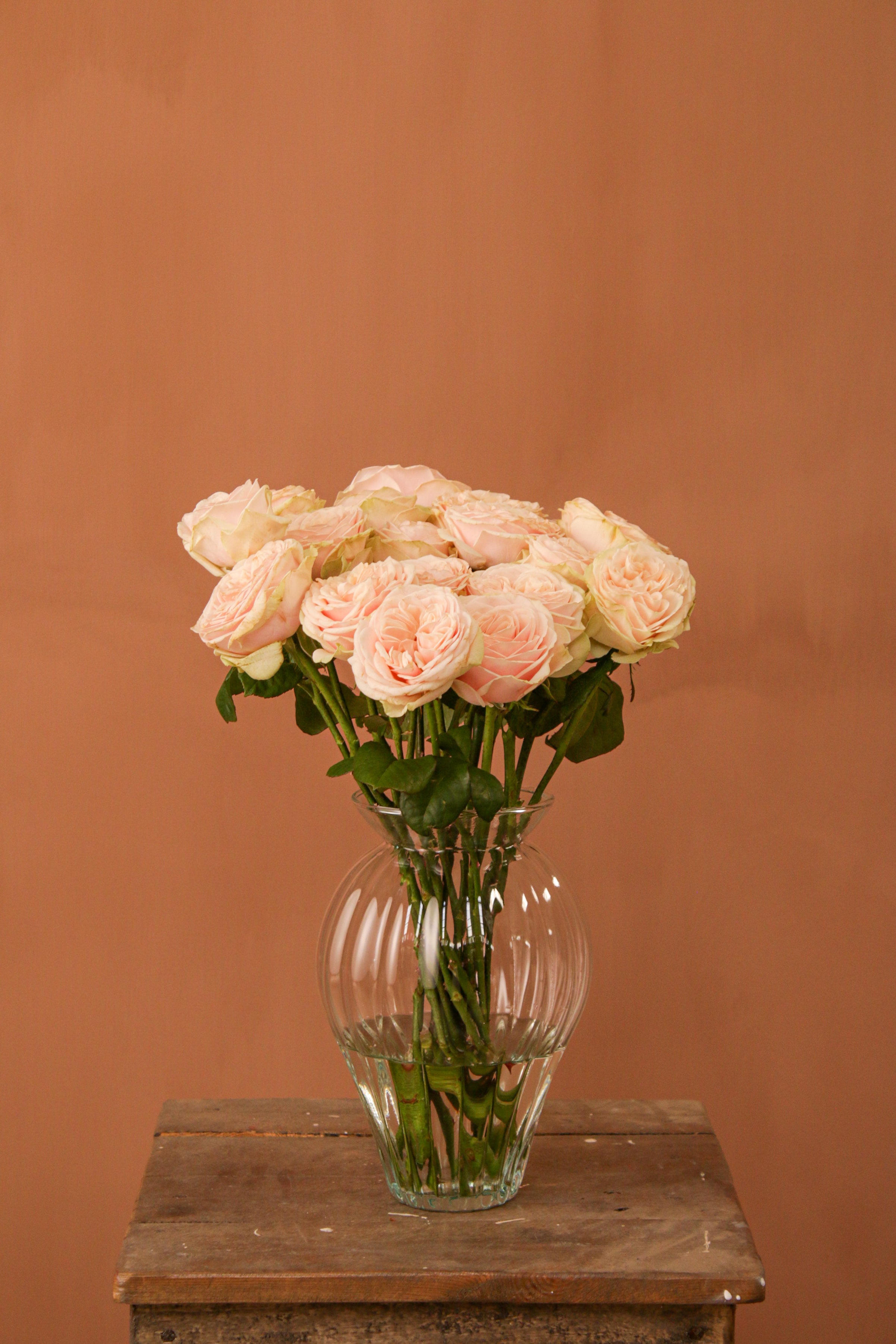 English Rose