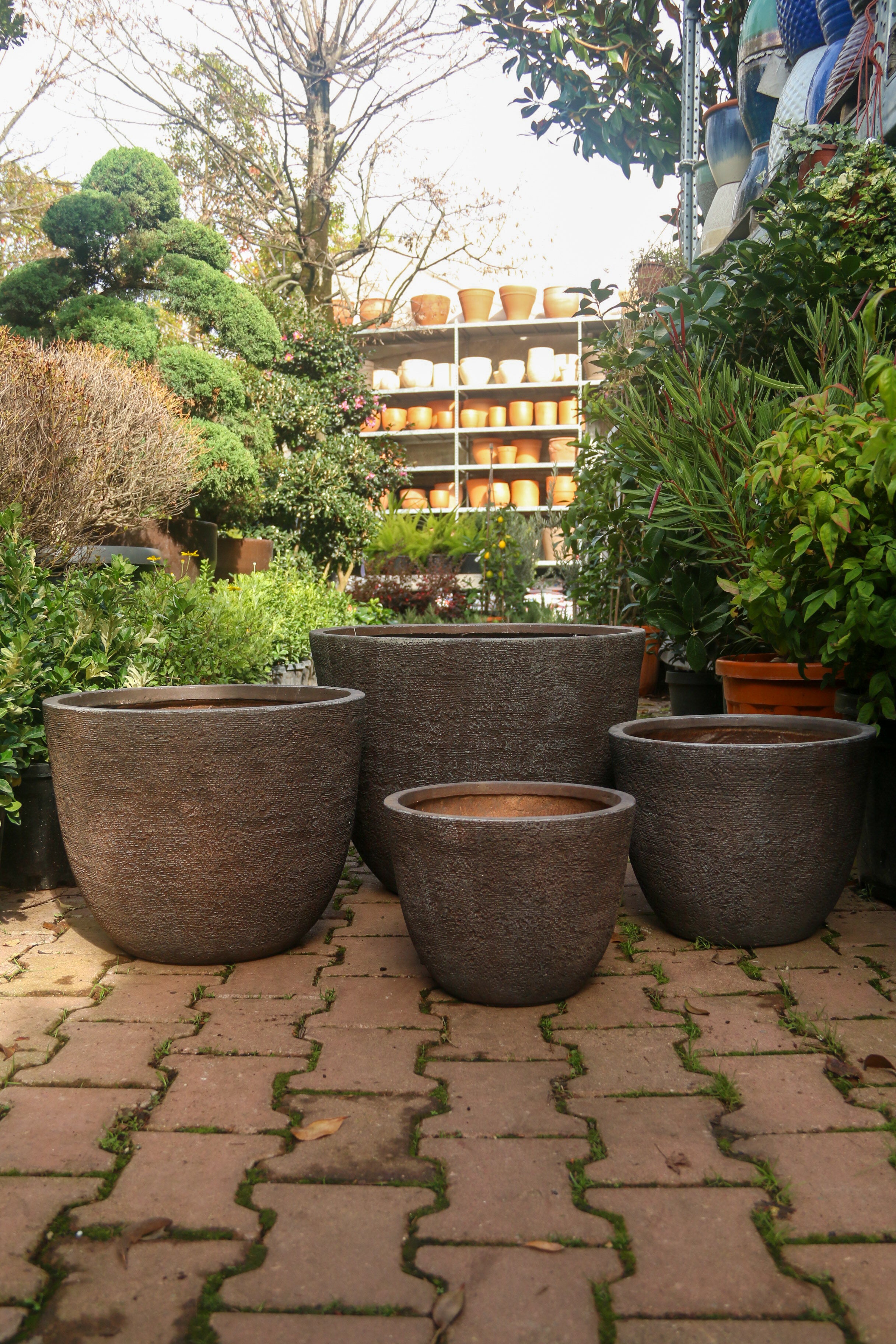 Darwin Fiberstone Saksı Kahve