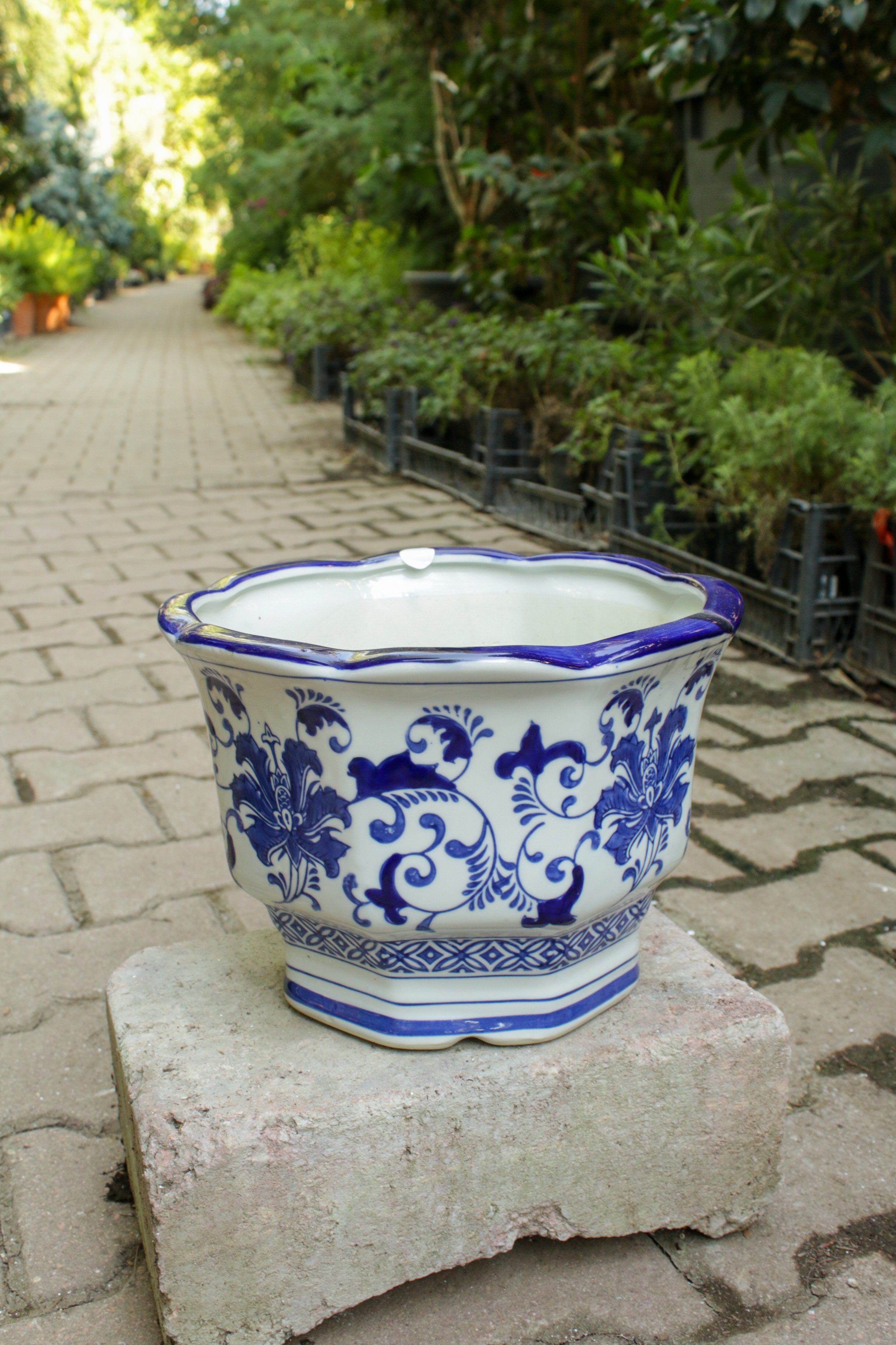 Bleu Blanc Maslak Saksı