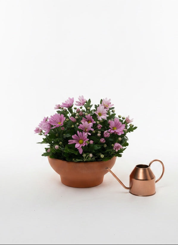 Cup of Krizantem