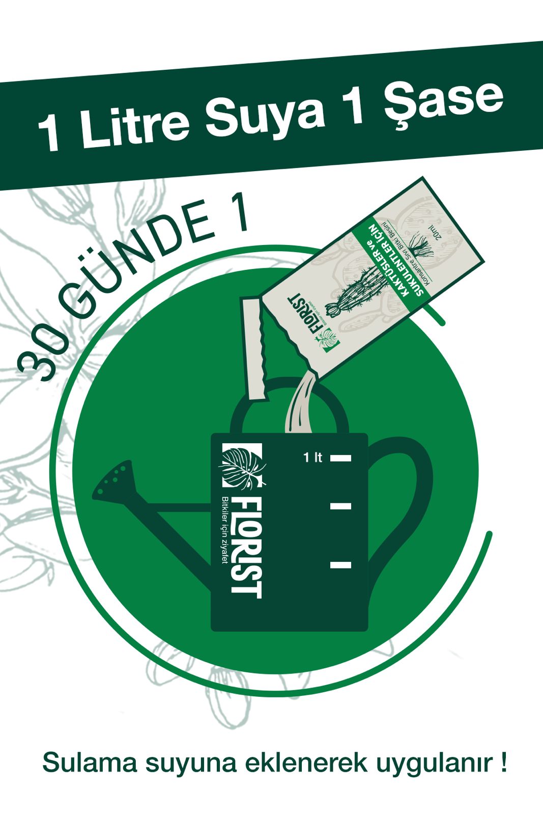 Kaktüs ve Sukulent Besini