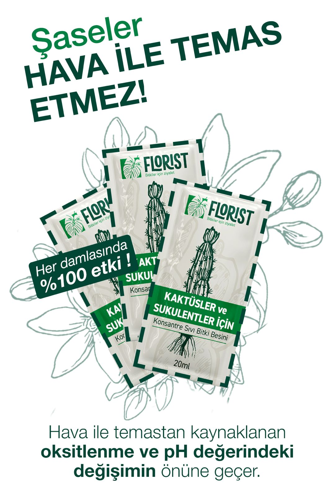 Kaktüs ve Sukulent Besini