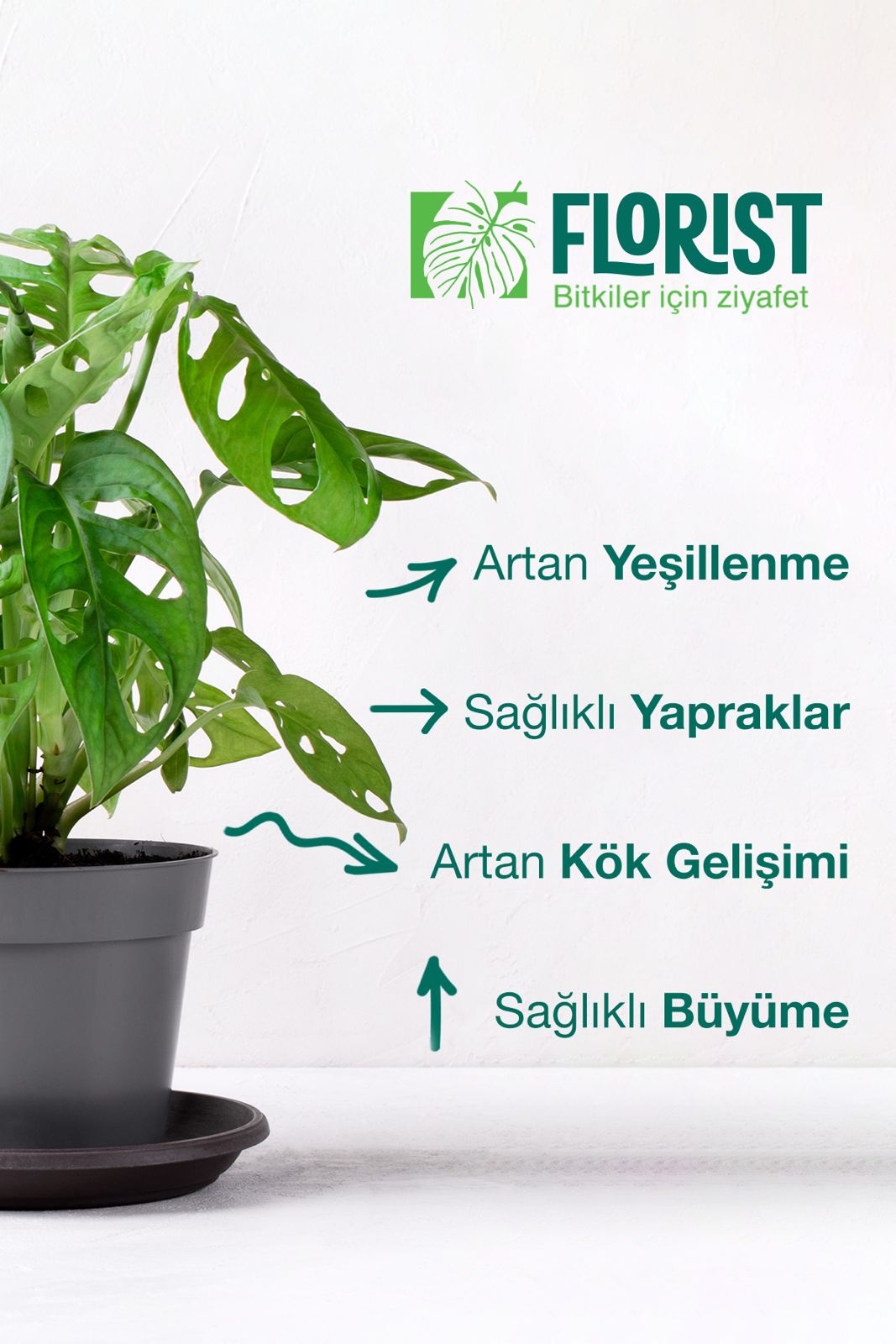 Yeşil Yapraklı Bitki Besini