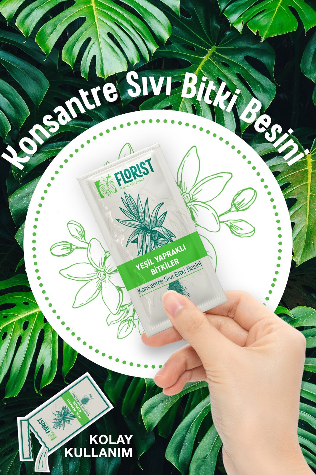 Yeşil Yapraklı Bitki Besini