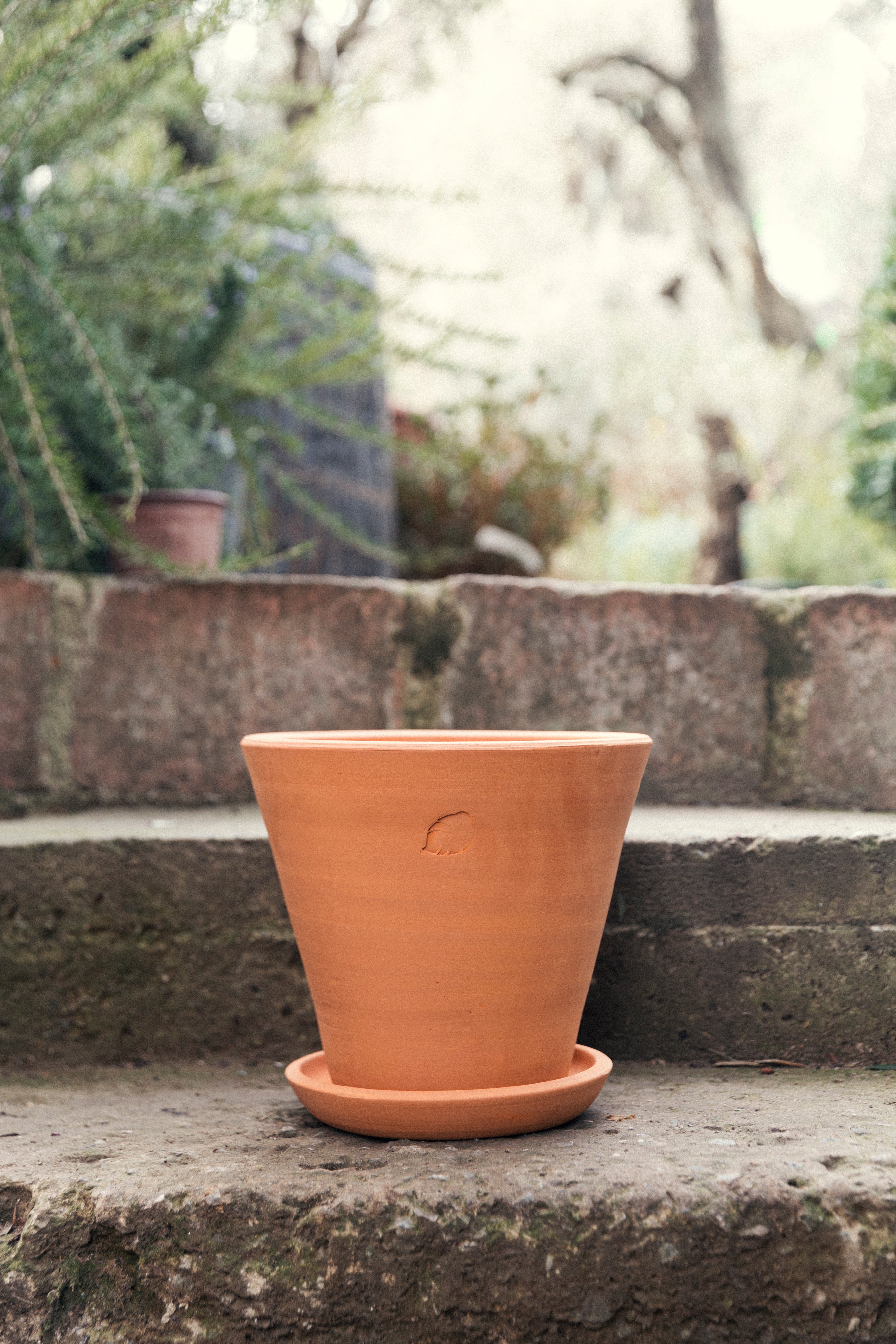 Clay Pot 26cm