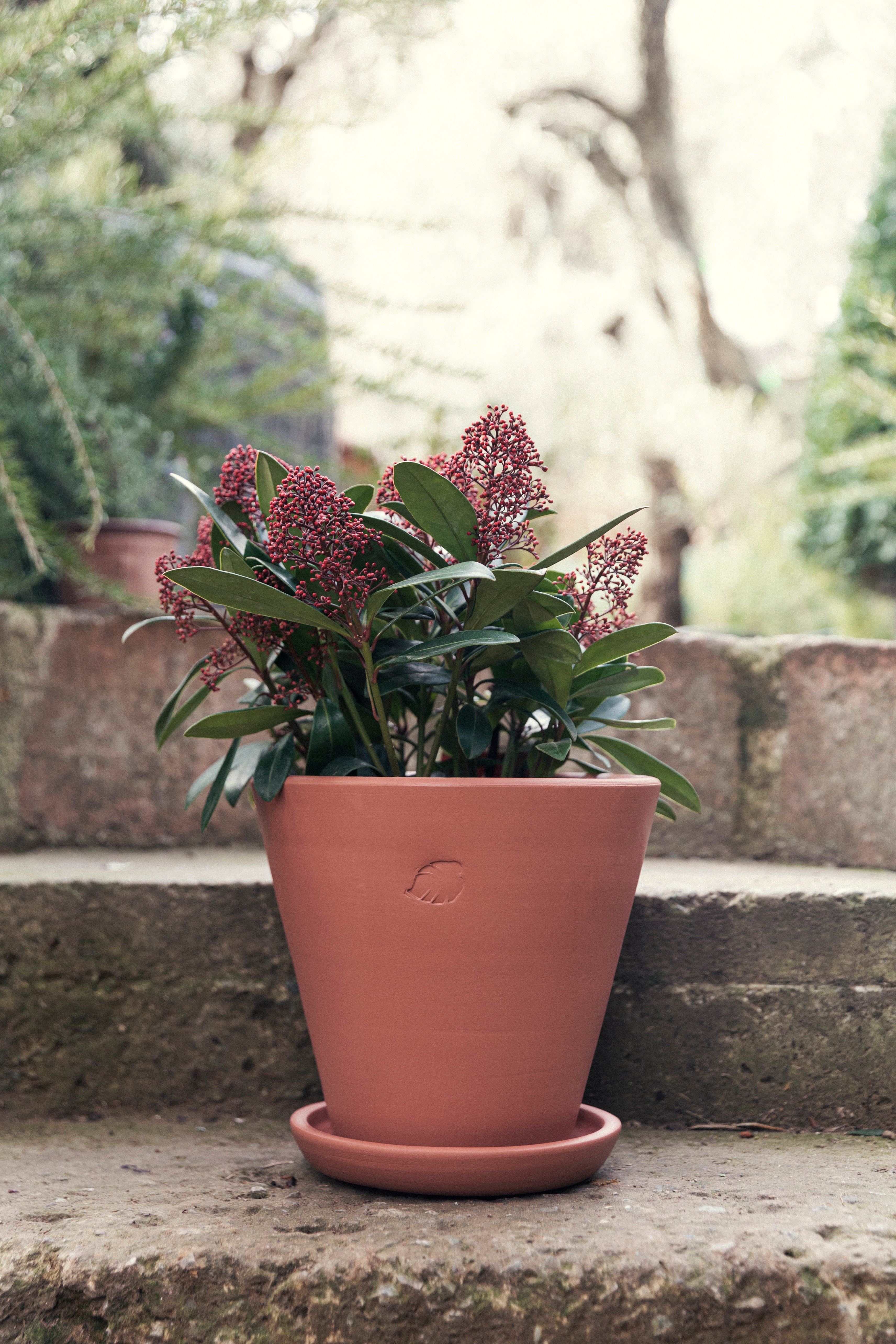 Sunset Flower Pot 26cm