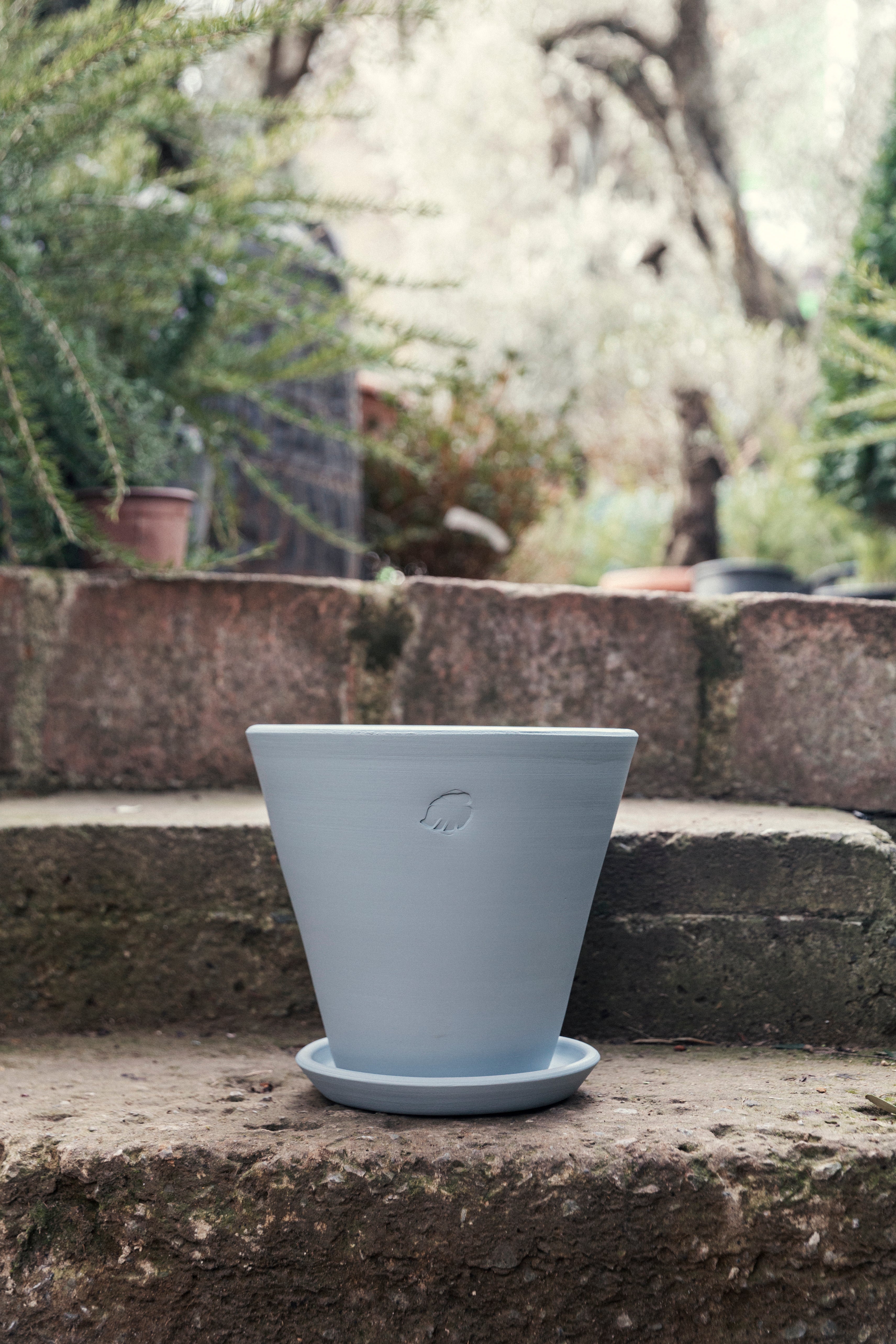 Sky Pot 26cm