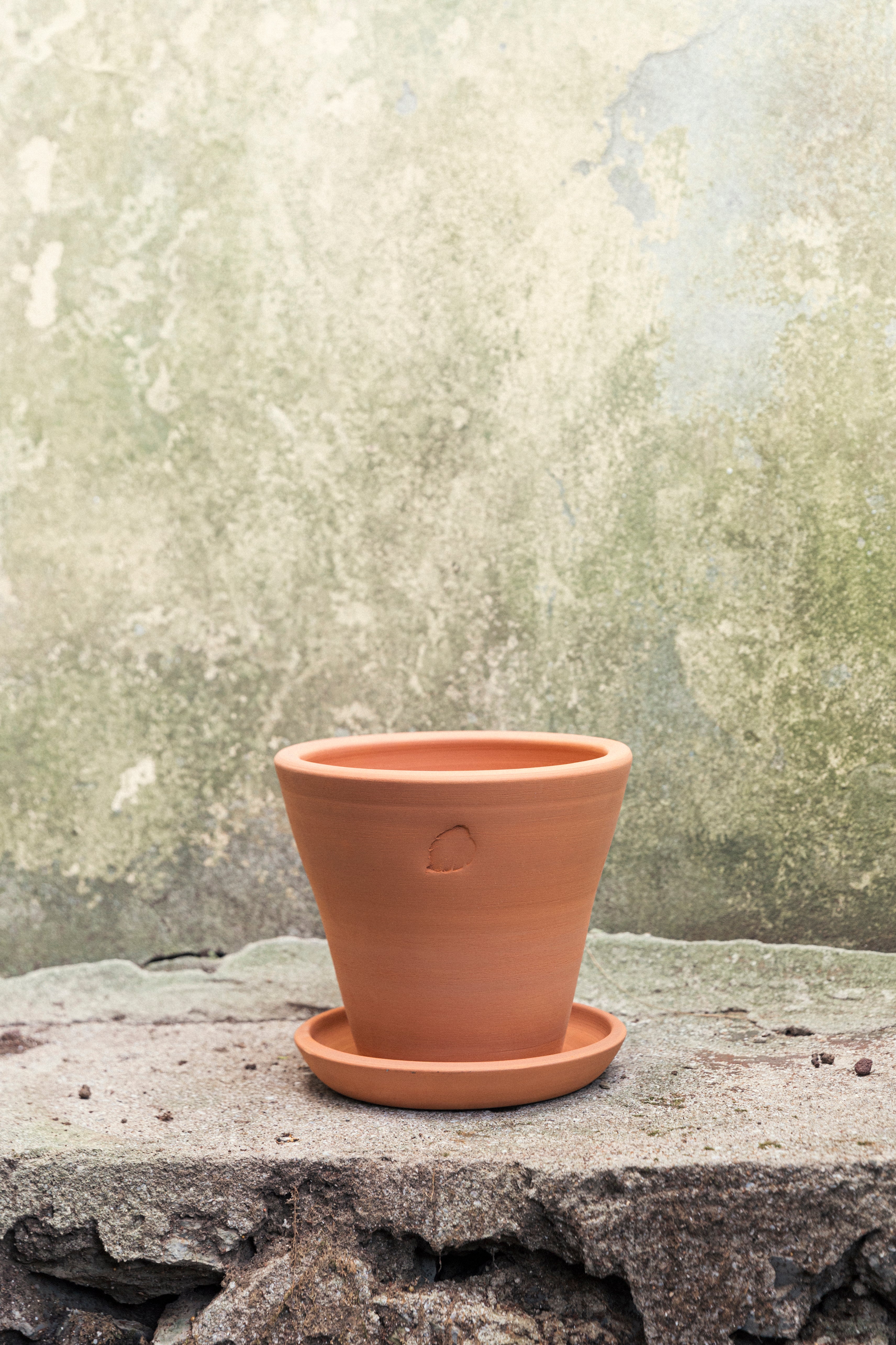 Clay Pot 22cm