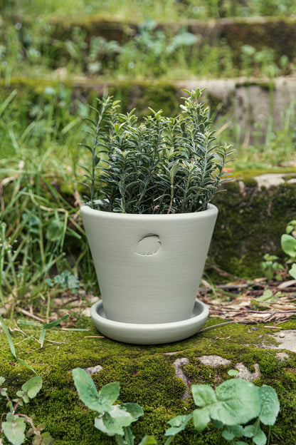 Mint Flower Pot 17cm