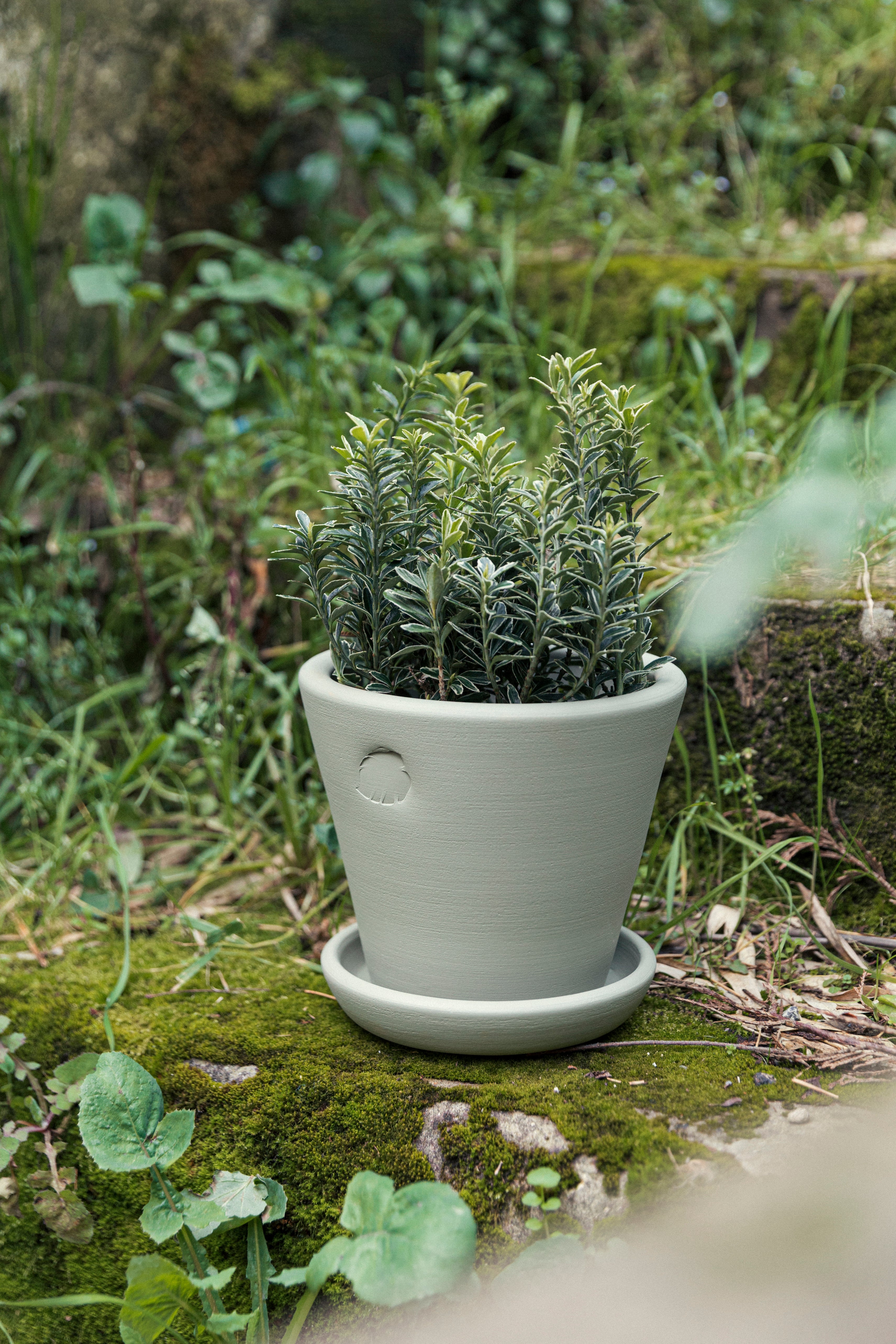 Mint Flower Pot 17cm