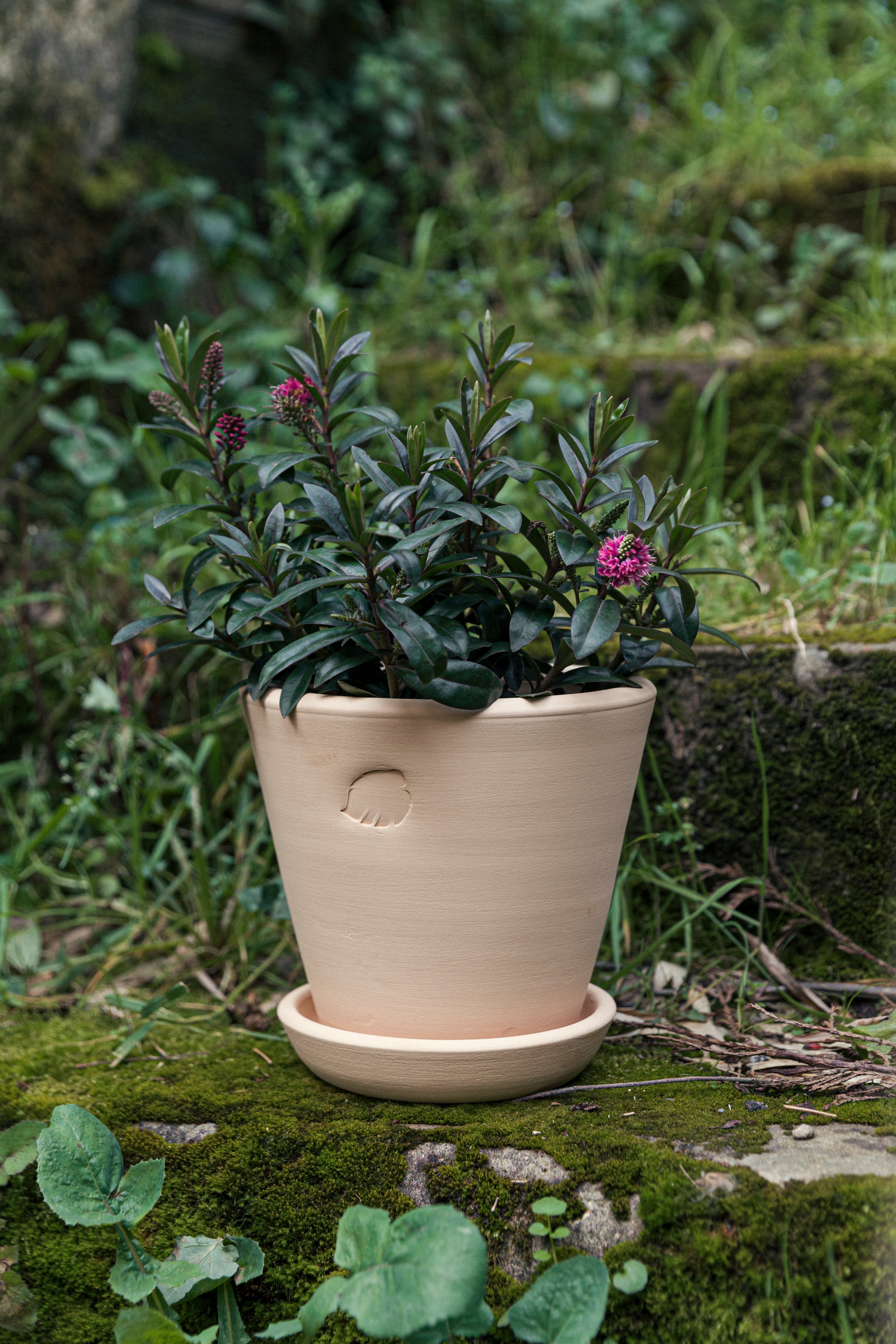 Sahara Flower Pot 17cm