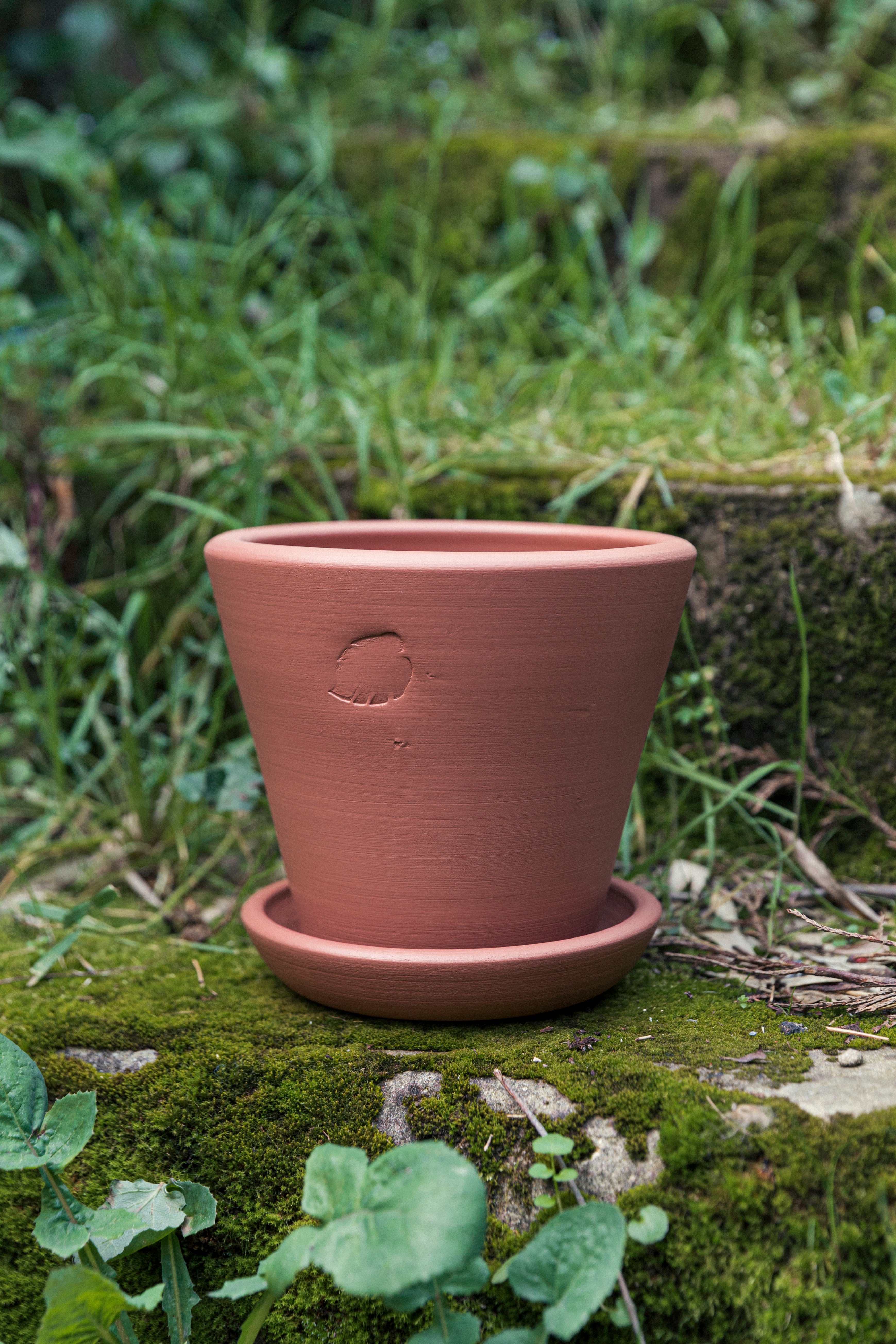 Sunset Flower Pot 17cm