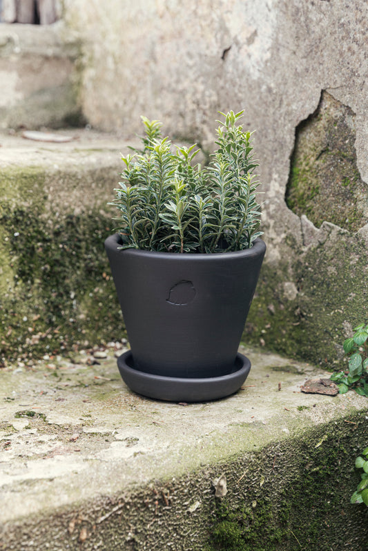 Coal Flower Pot 14cm