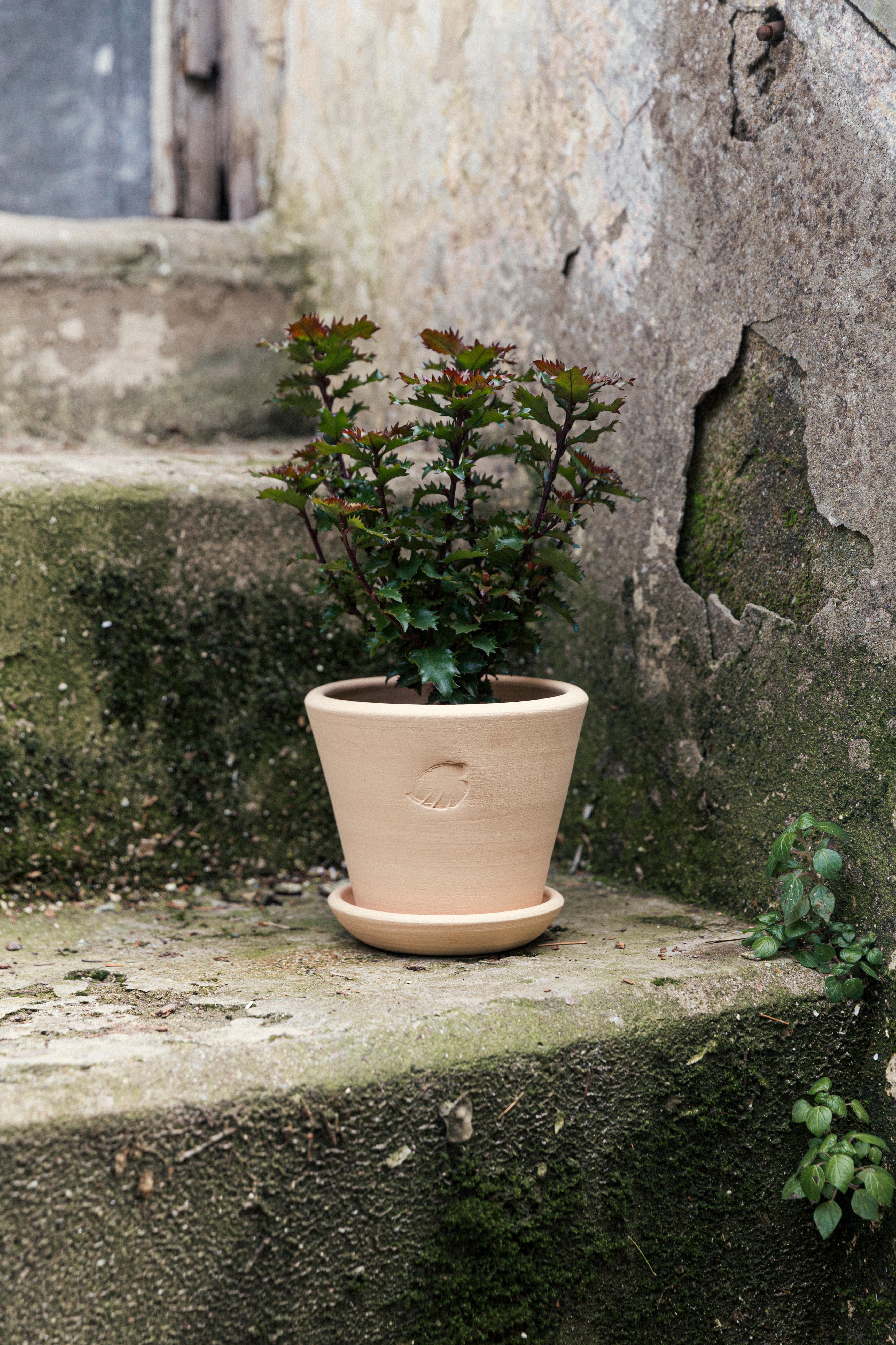 Sahara Flower Pot 14cm