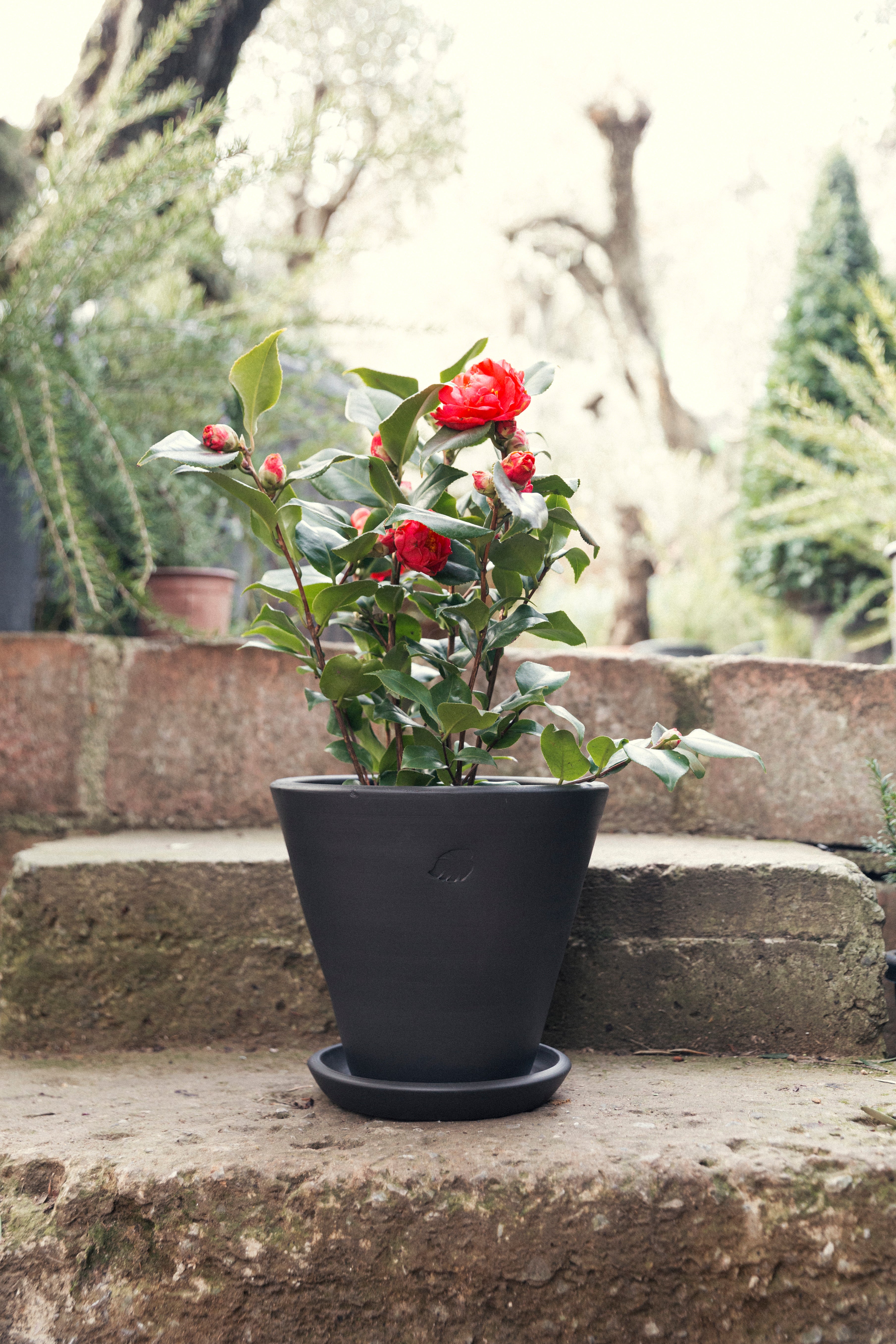 Coal Flower Pot 26cm