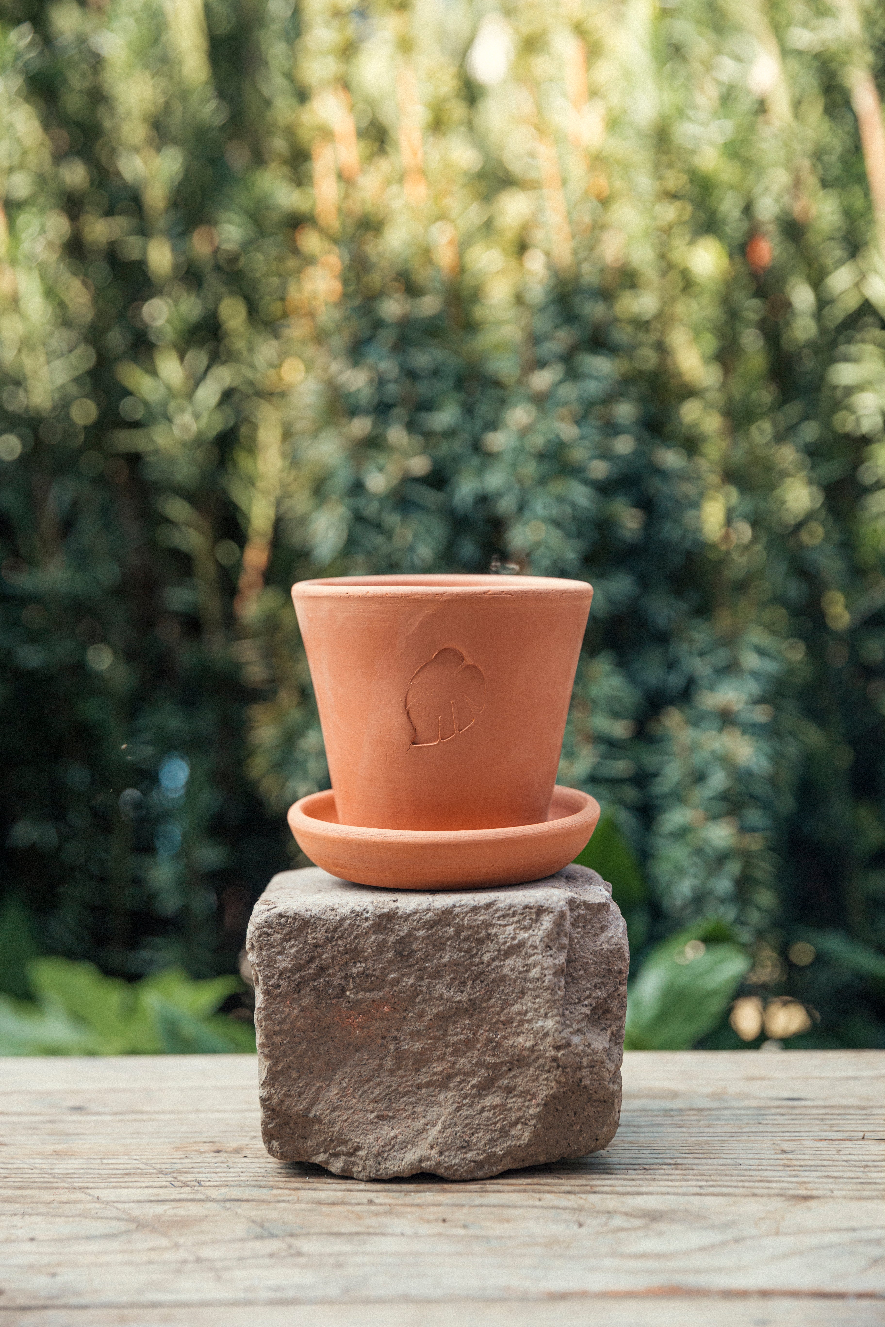 Clay Pot 10cm