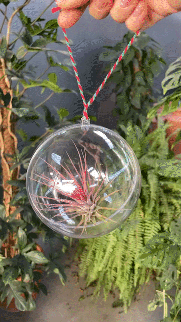 Air Ball (Hava Bitkili Yılbaşı Süsü)